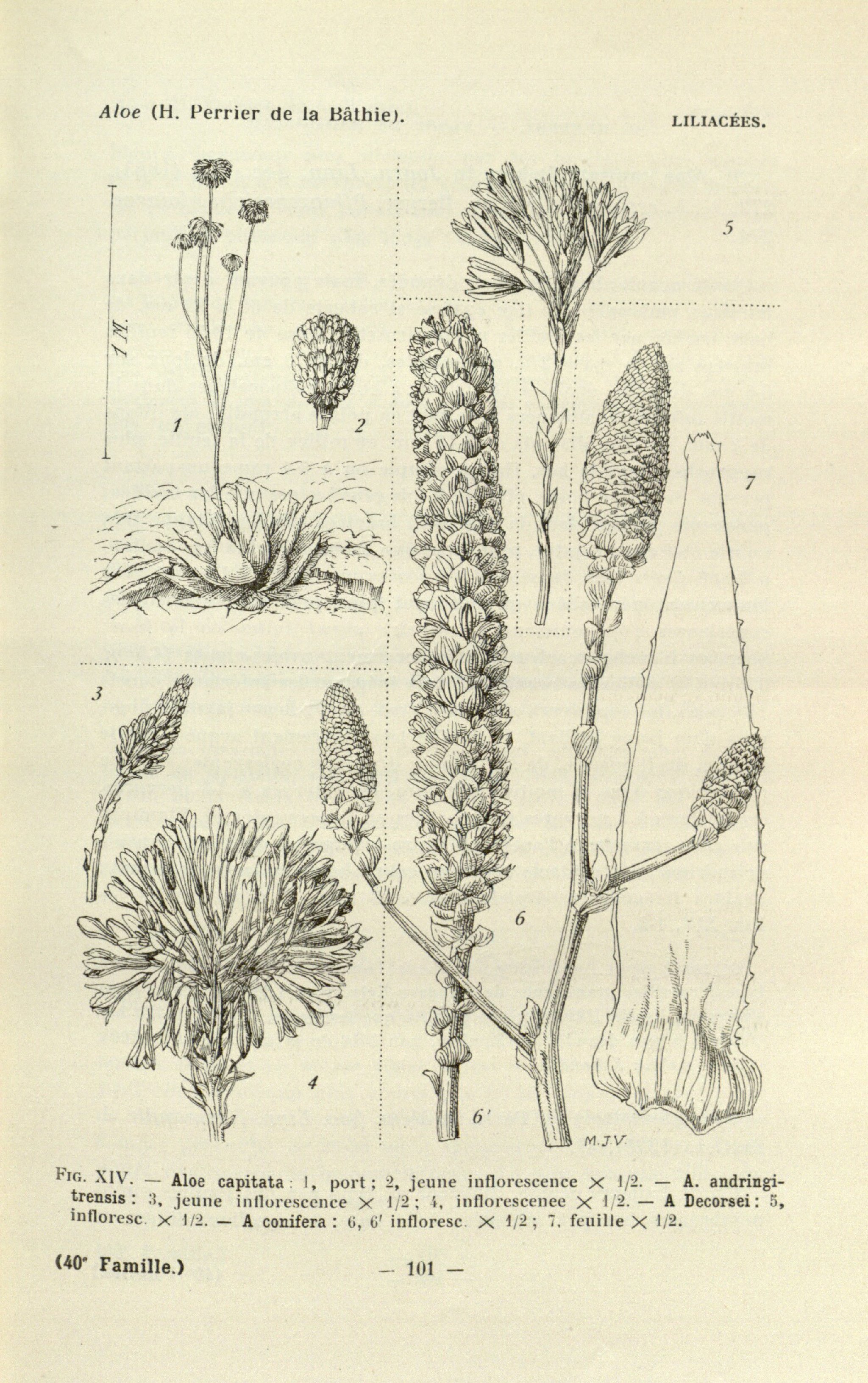 no full size  illustration available (3a)