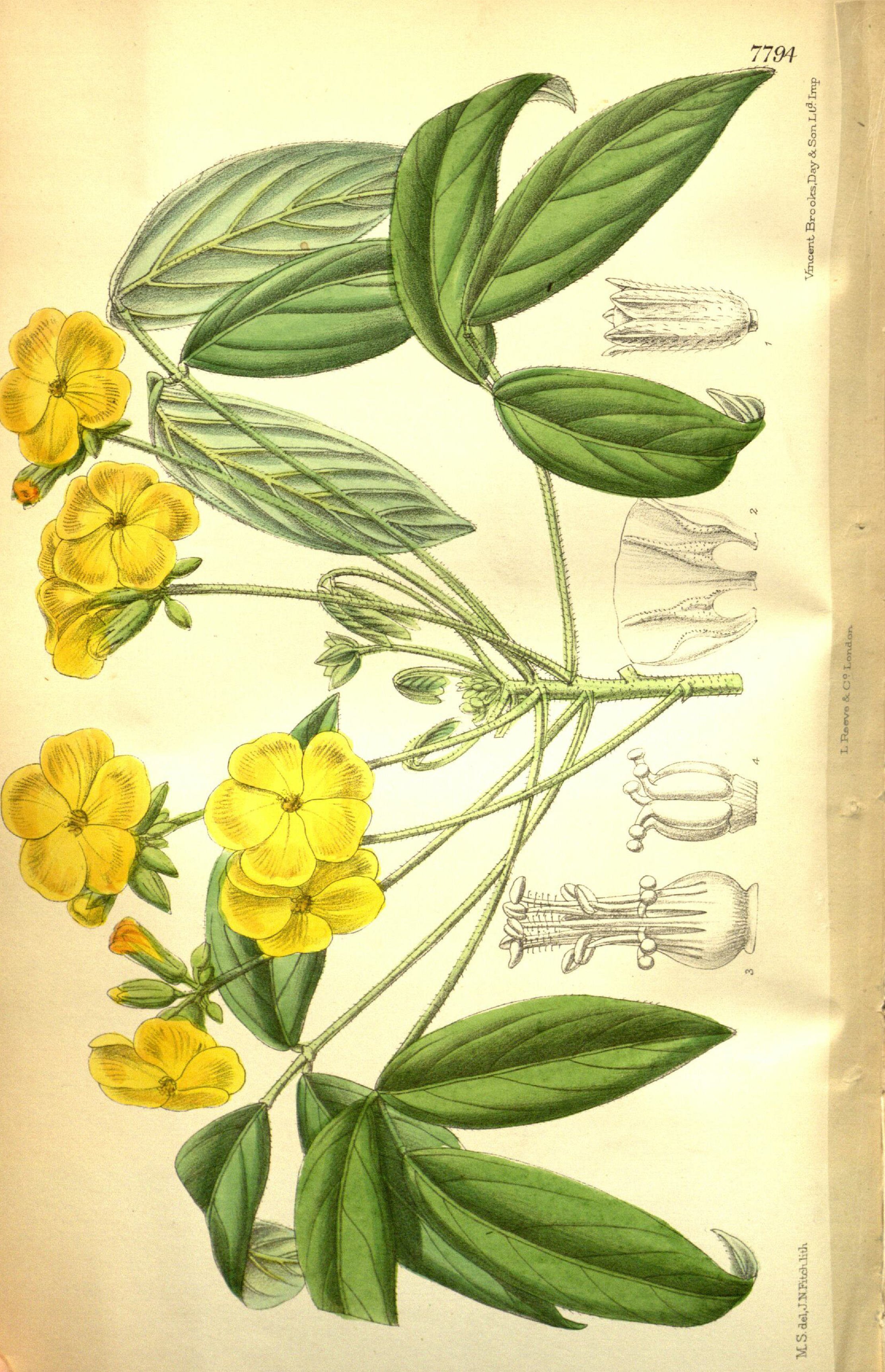 no full size  illustration available (3a)