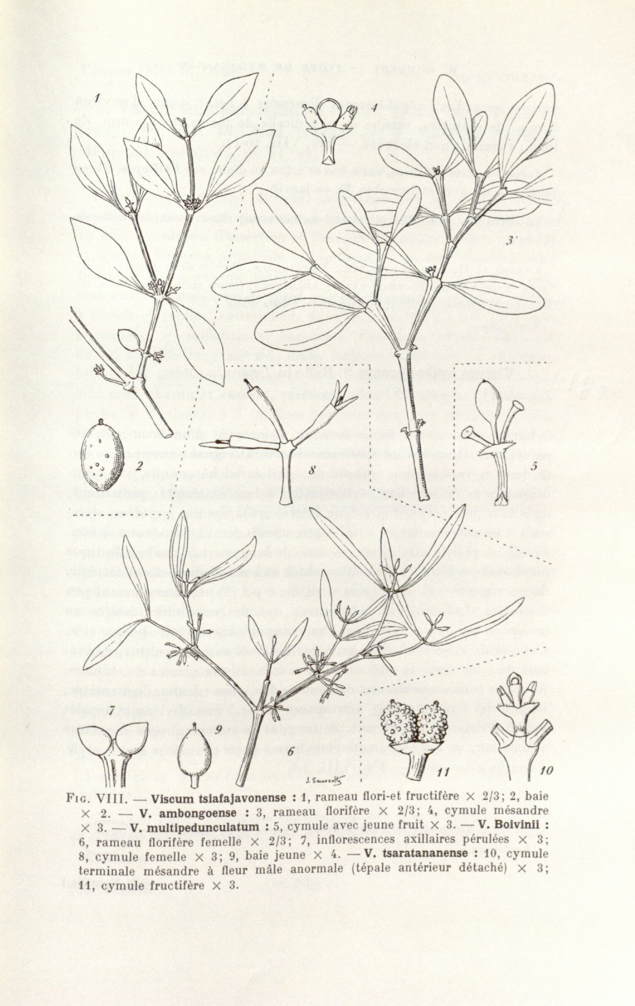 no full size  illustration available (3a)