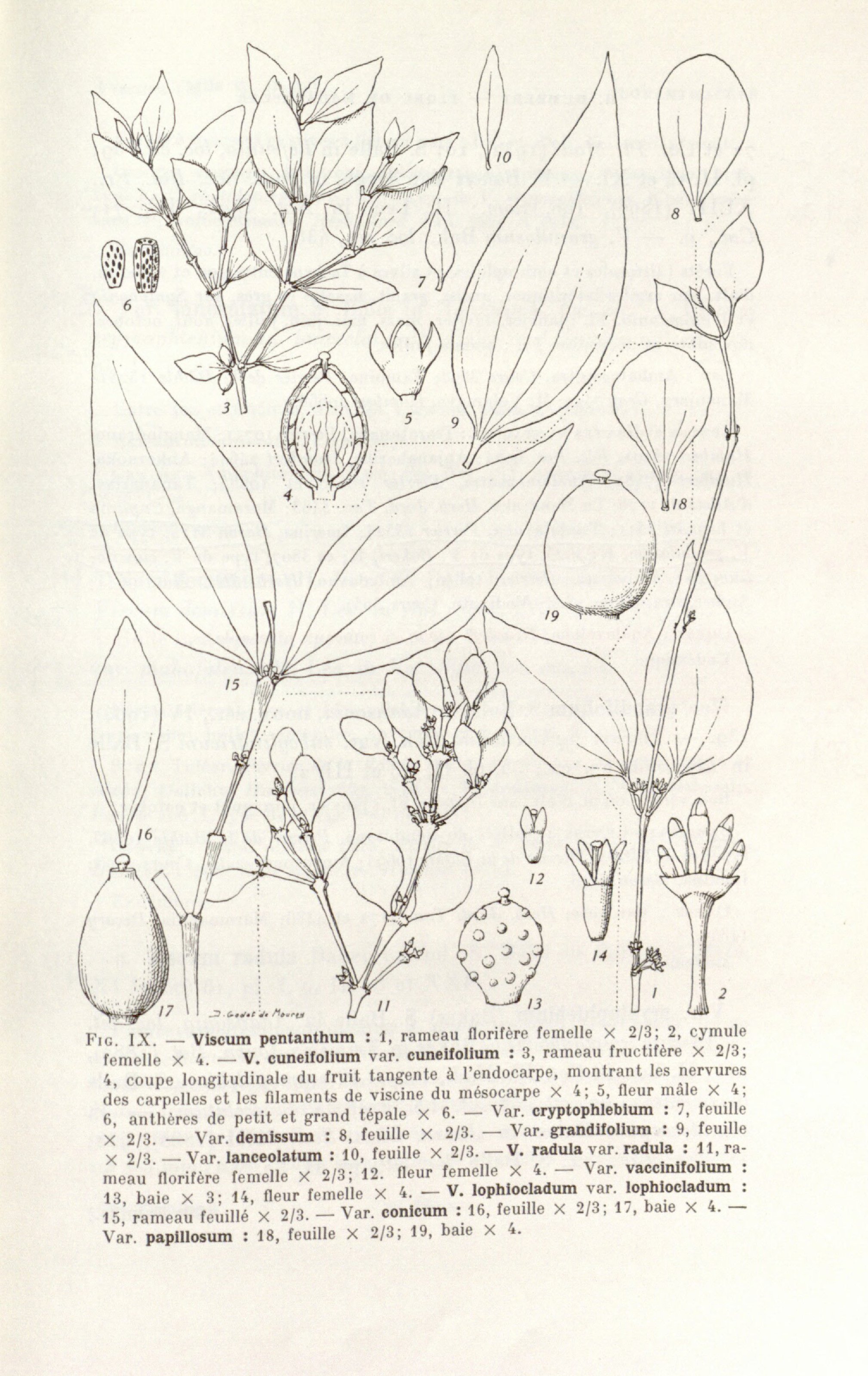 no full size  illustration available (3a)