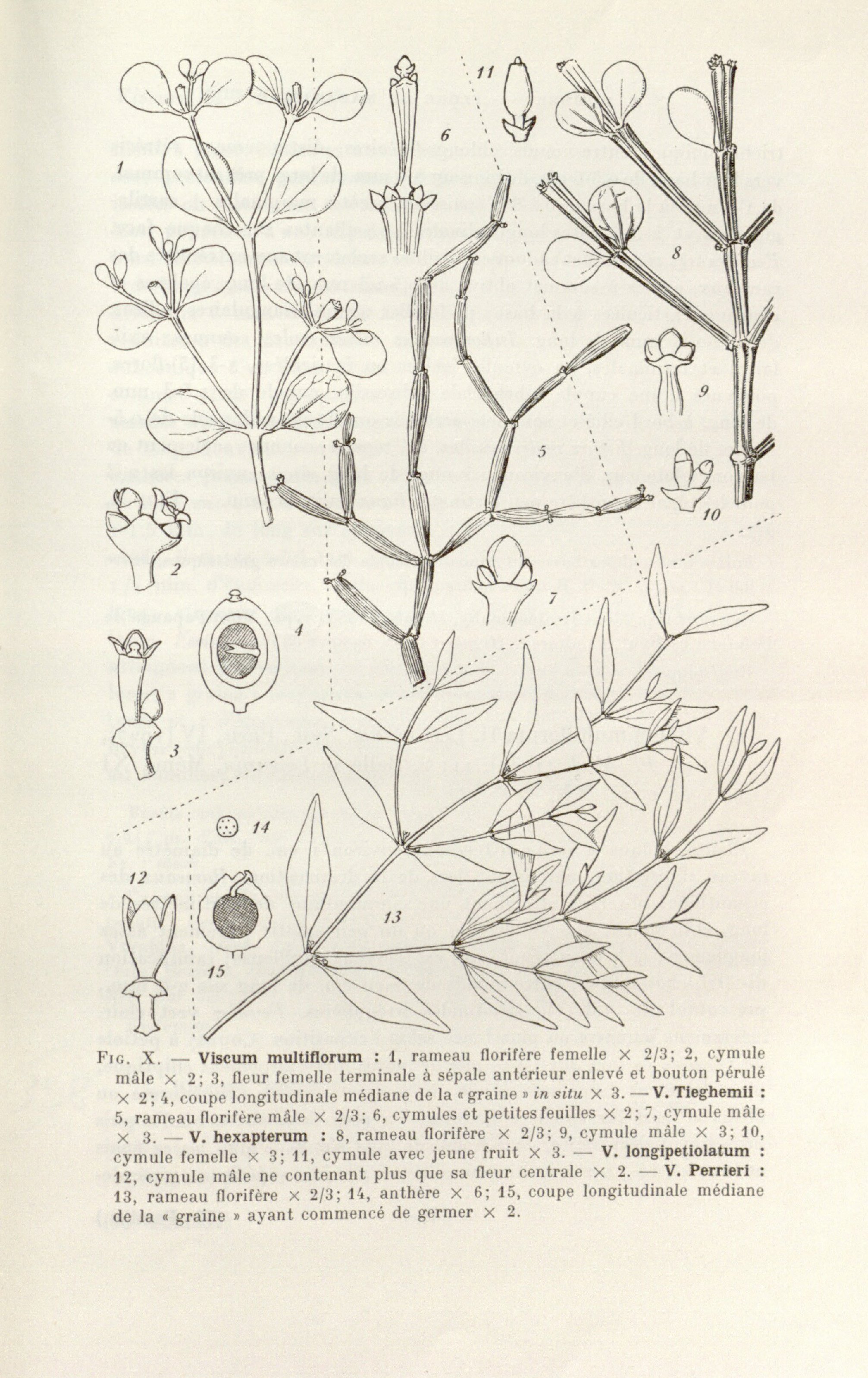 no full size  illustration available (3a)