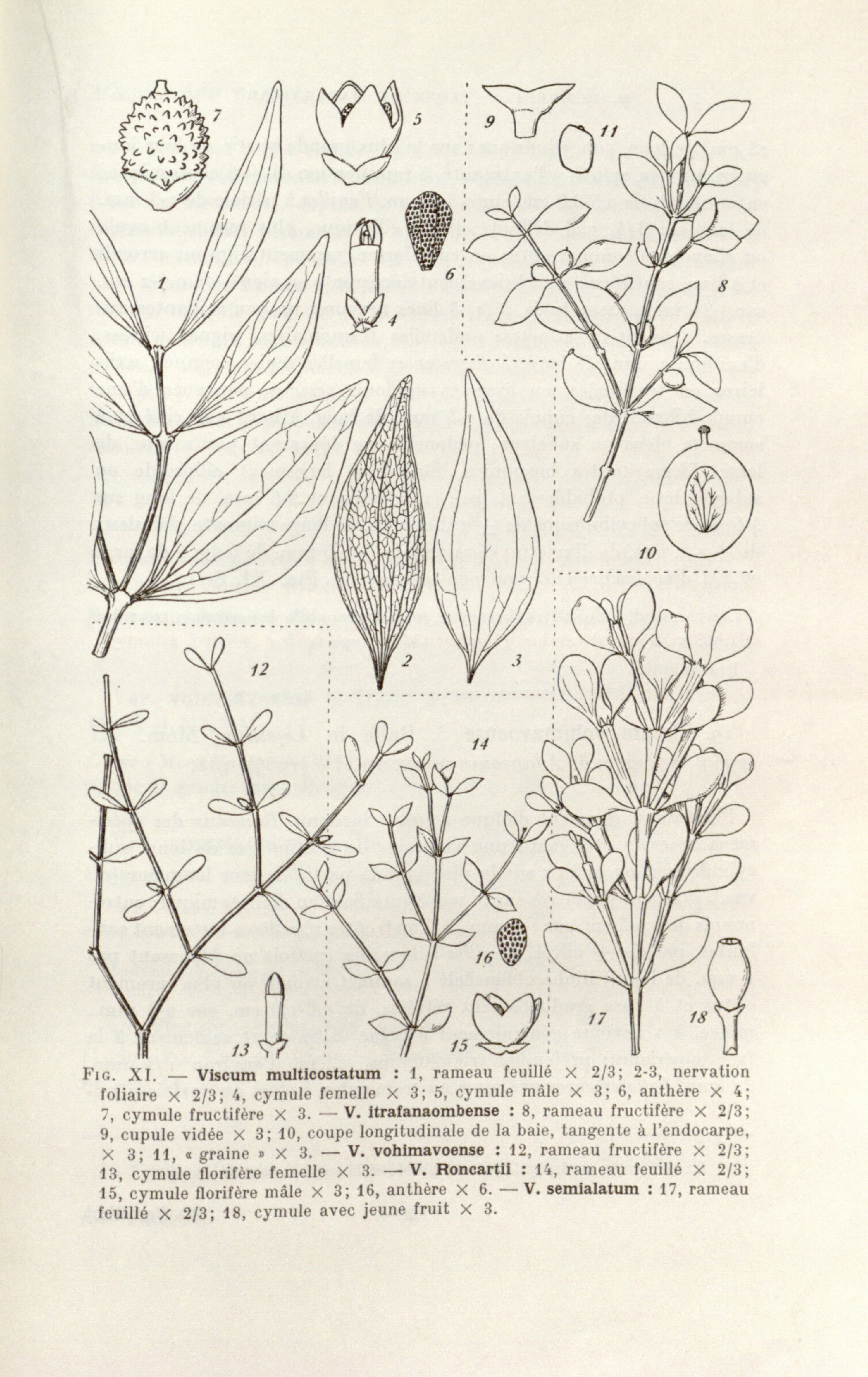 no full size  illustration available (3a)