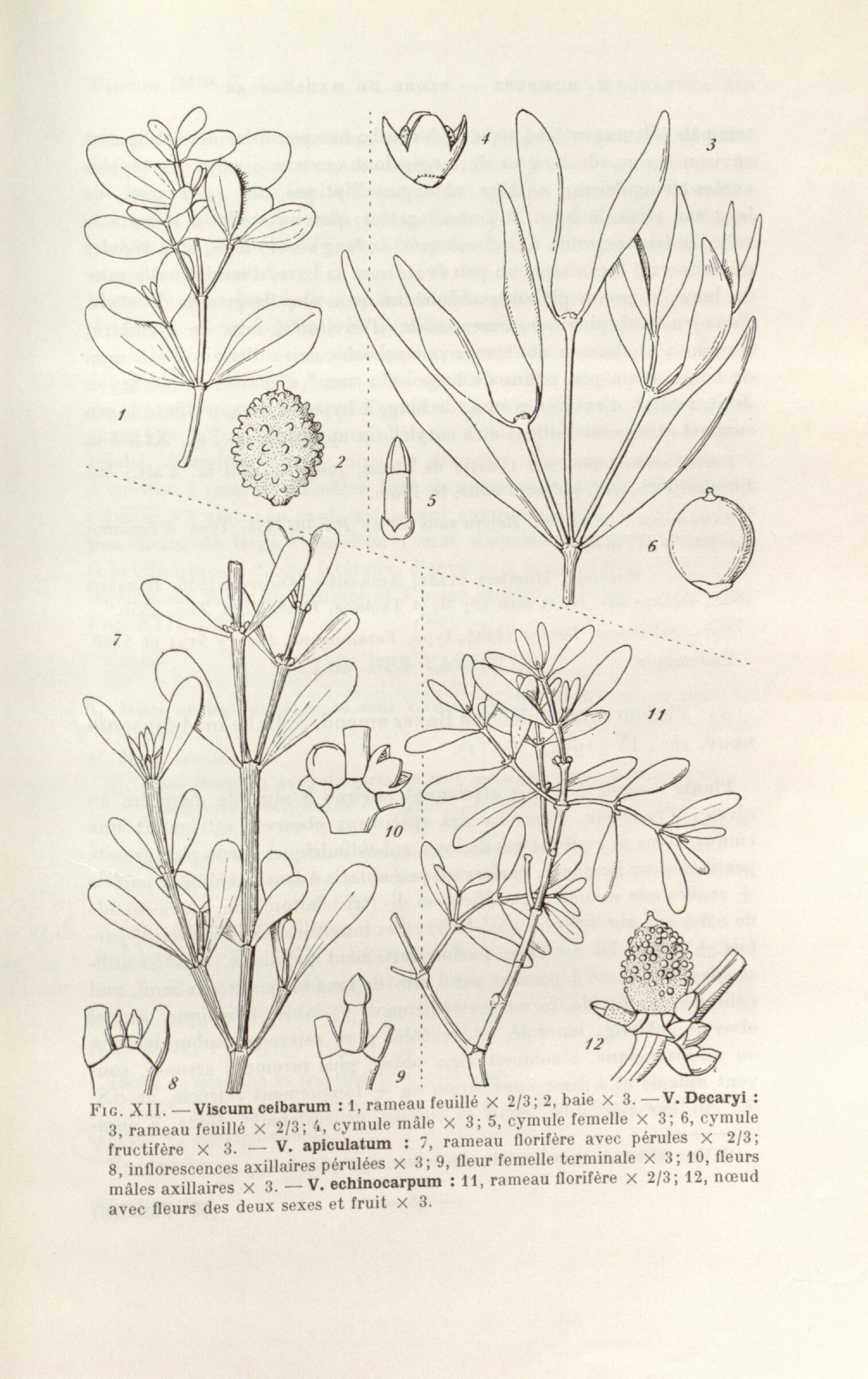 no full size  illustration available (3a)