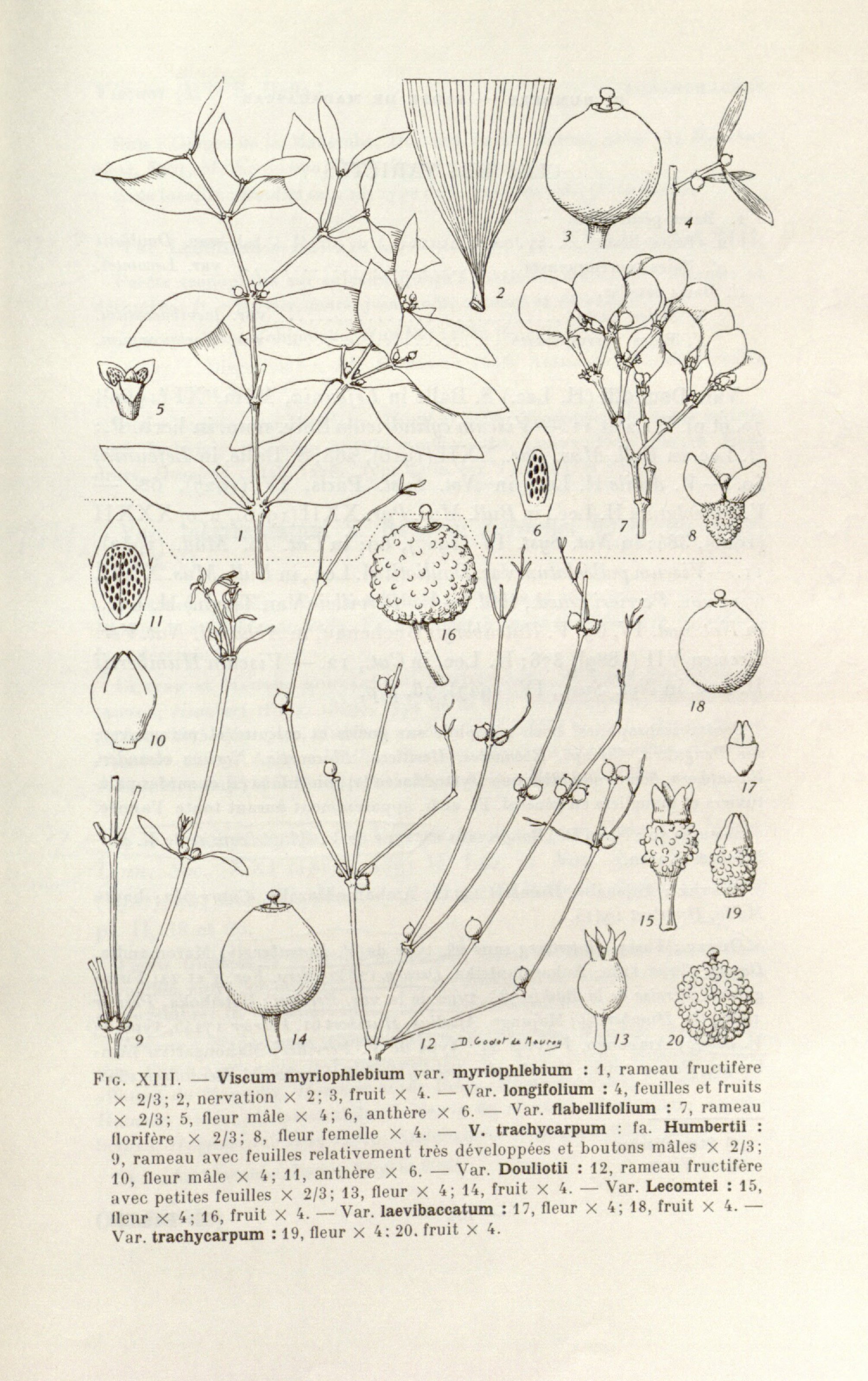 no full size  illustration available (3a)