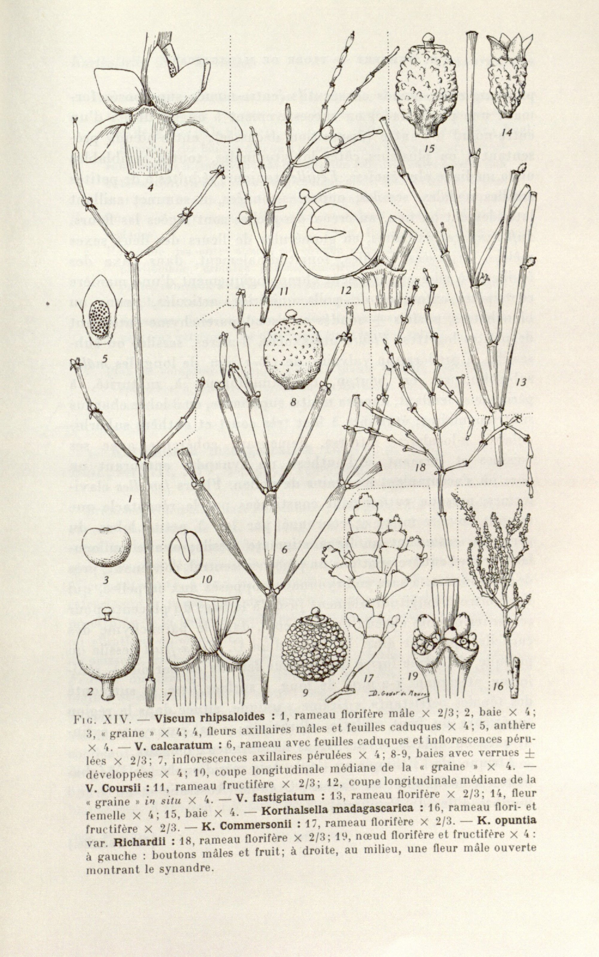 no full size  illustration available (3a)