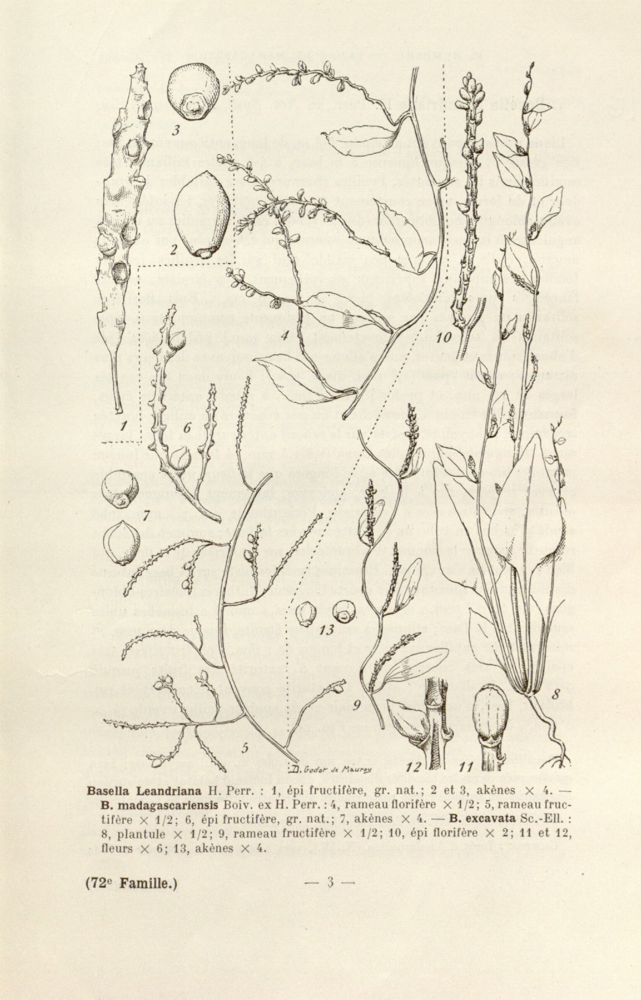 no full size  illustration available (3a)