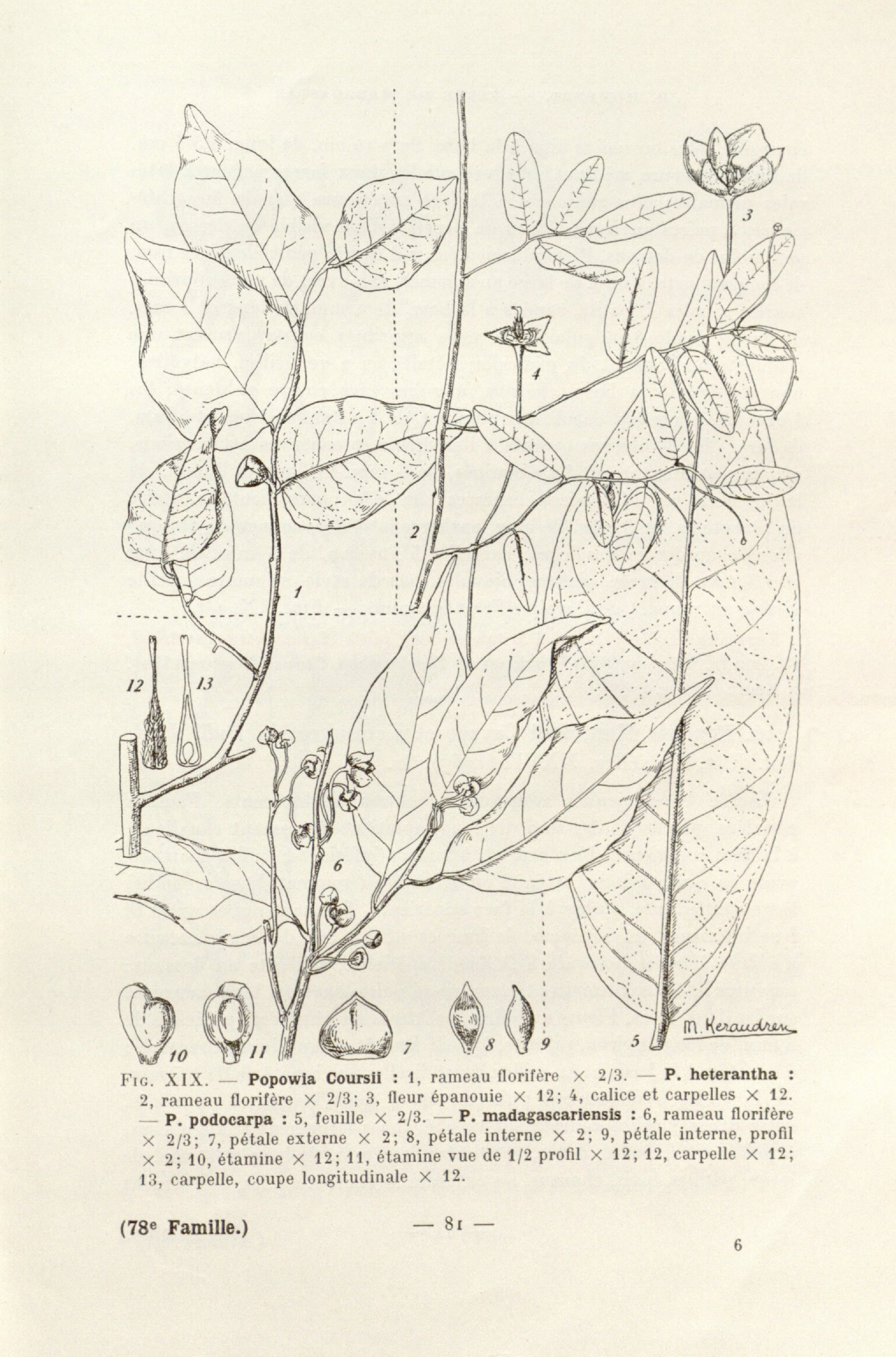 no full size  illustration available (3a)