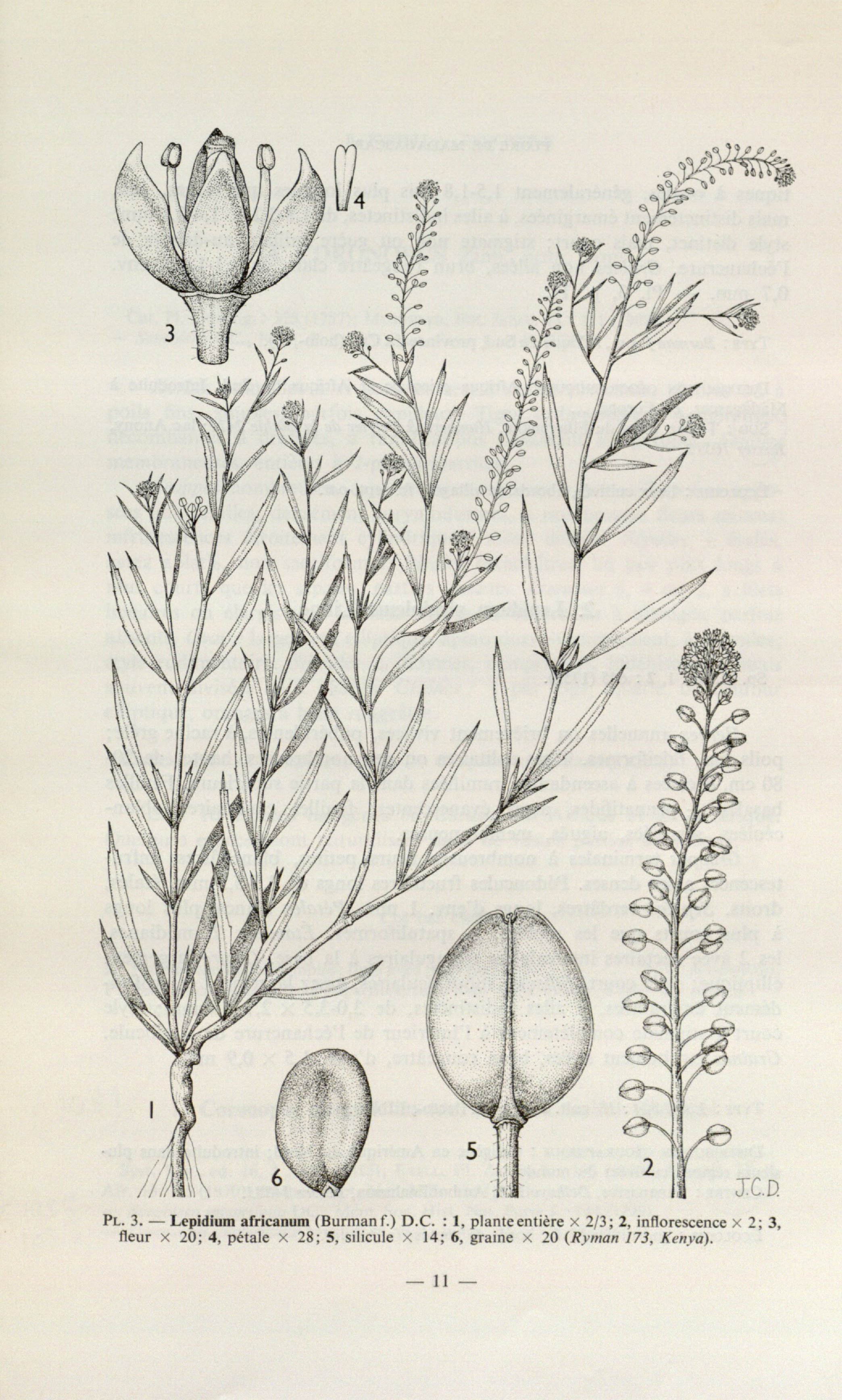 no full size  illustration available (3a)