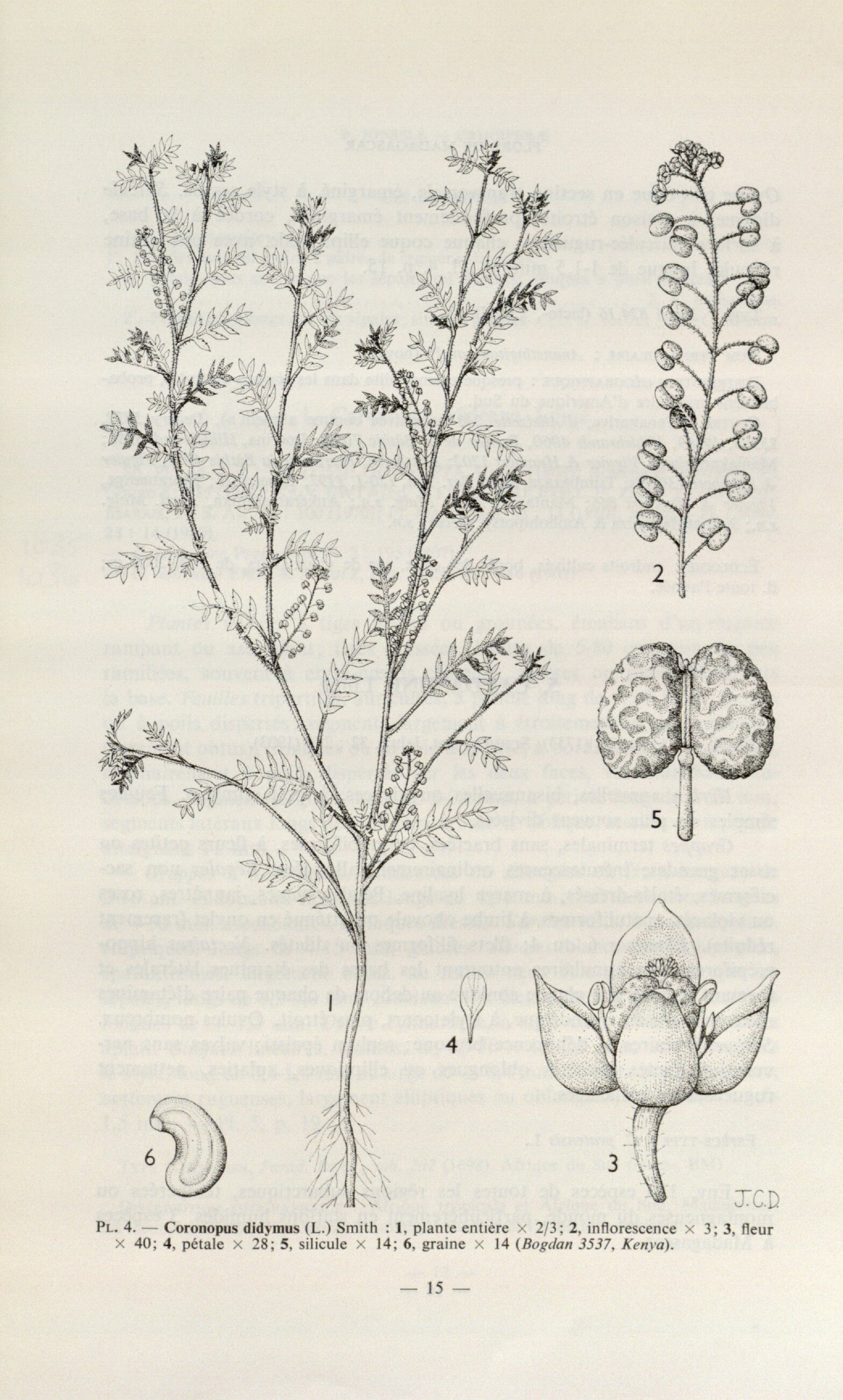 no full size  illustration available (3a)