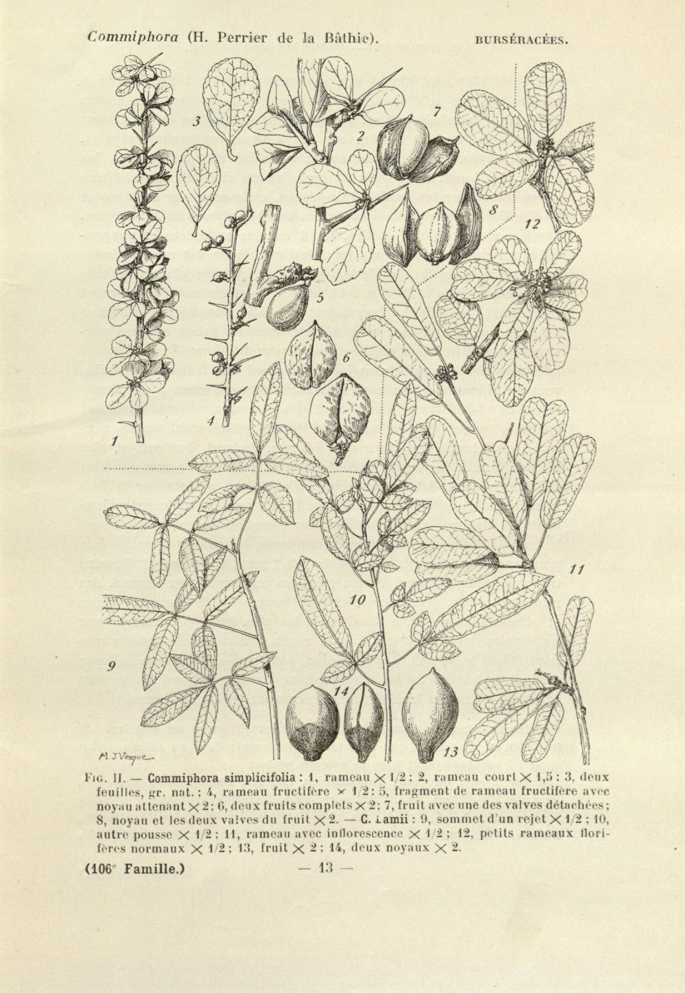 no full size  illustration available (3a)