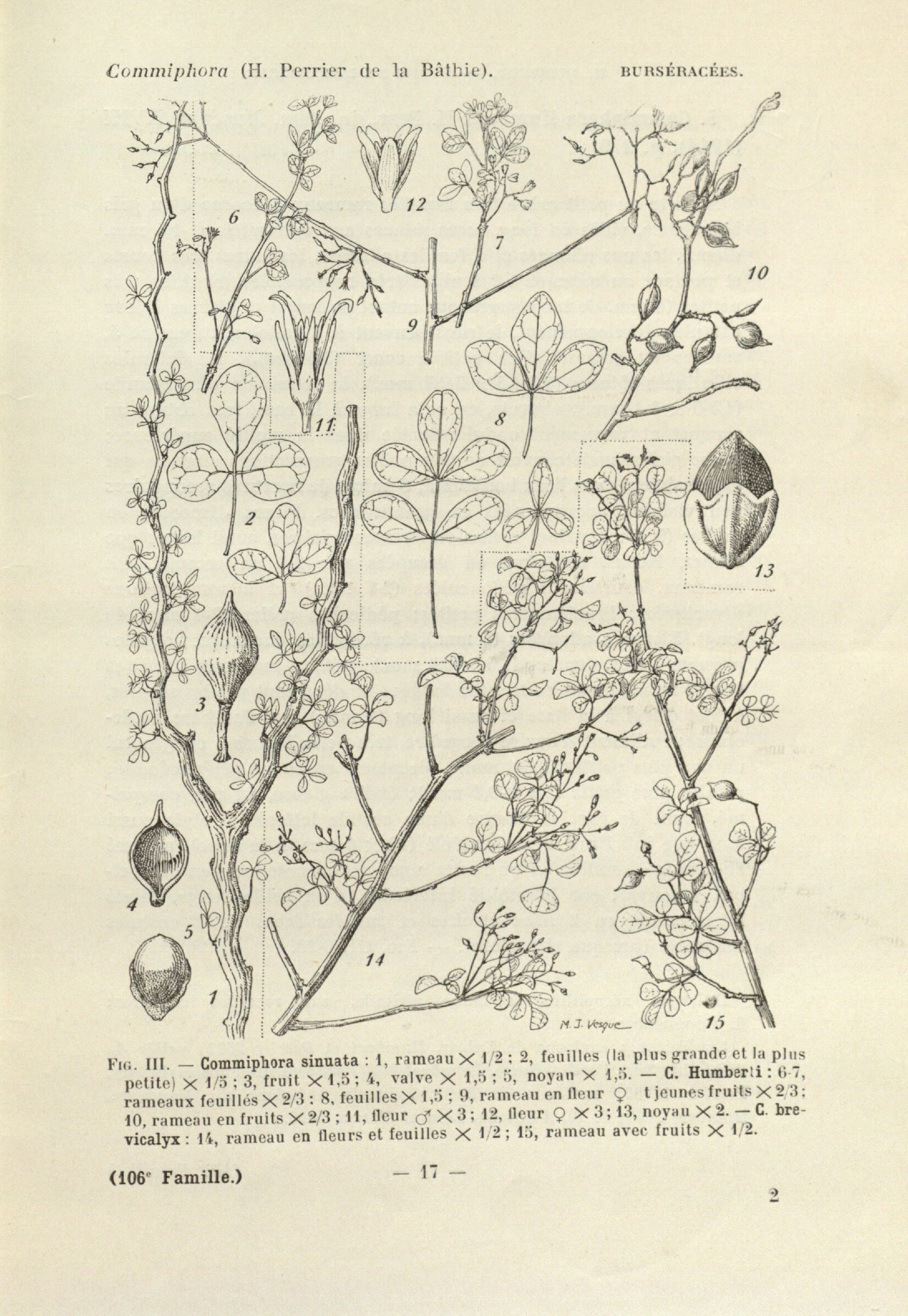 no full size  illustration available (3a)