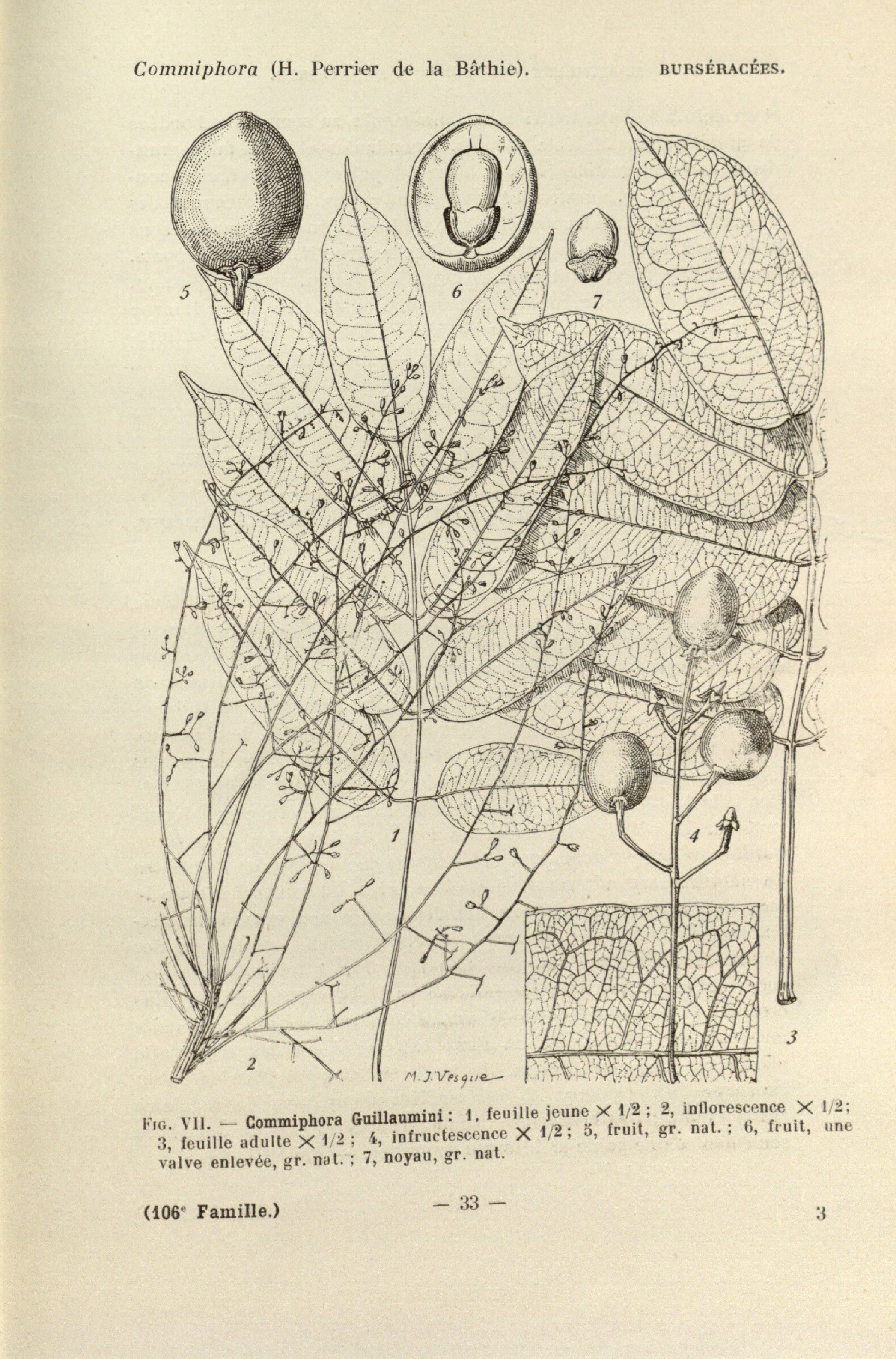 no full size  illustration available (3a)