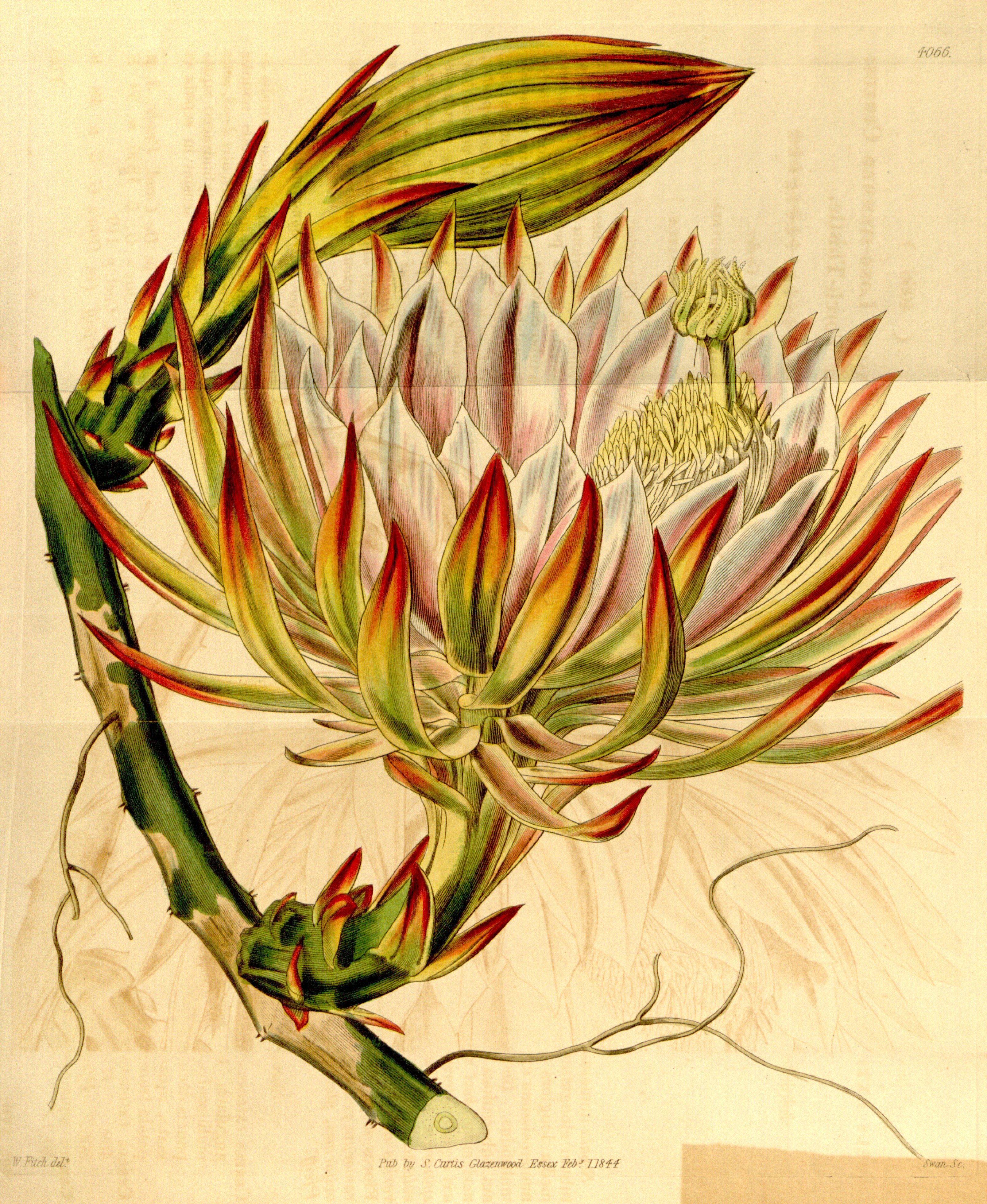 no full size  illustration available (3a)