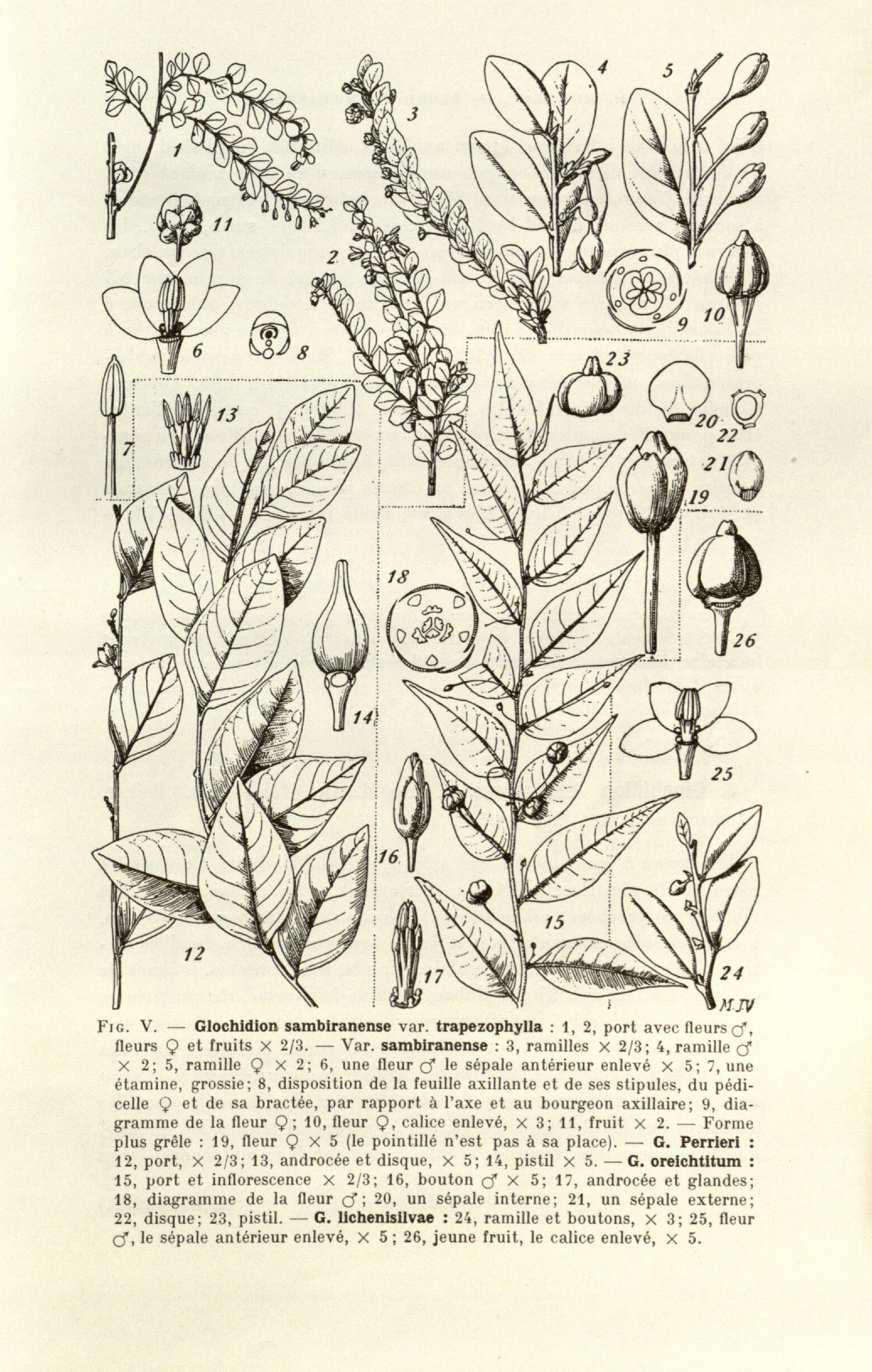 no full size  illustration available (3a)