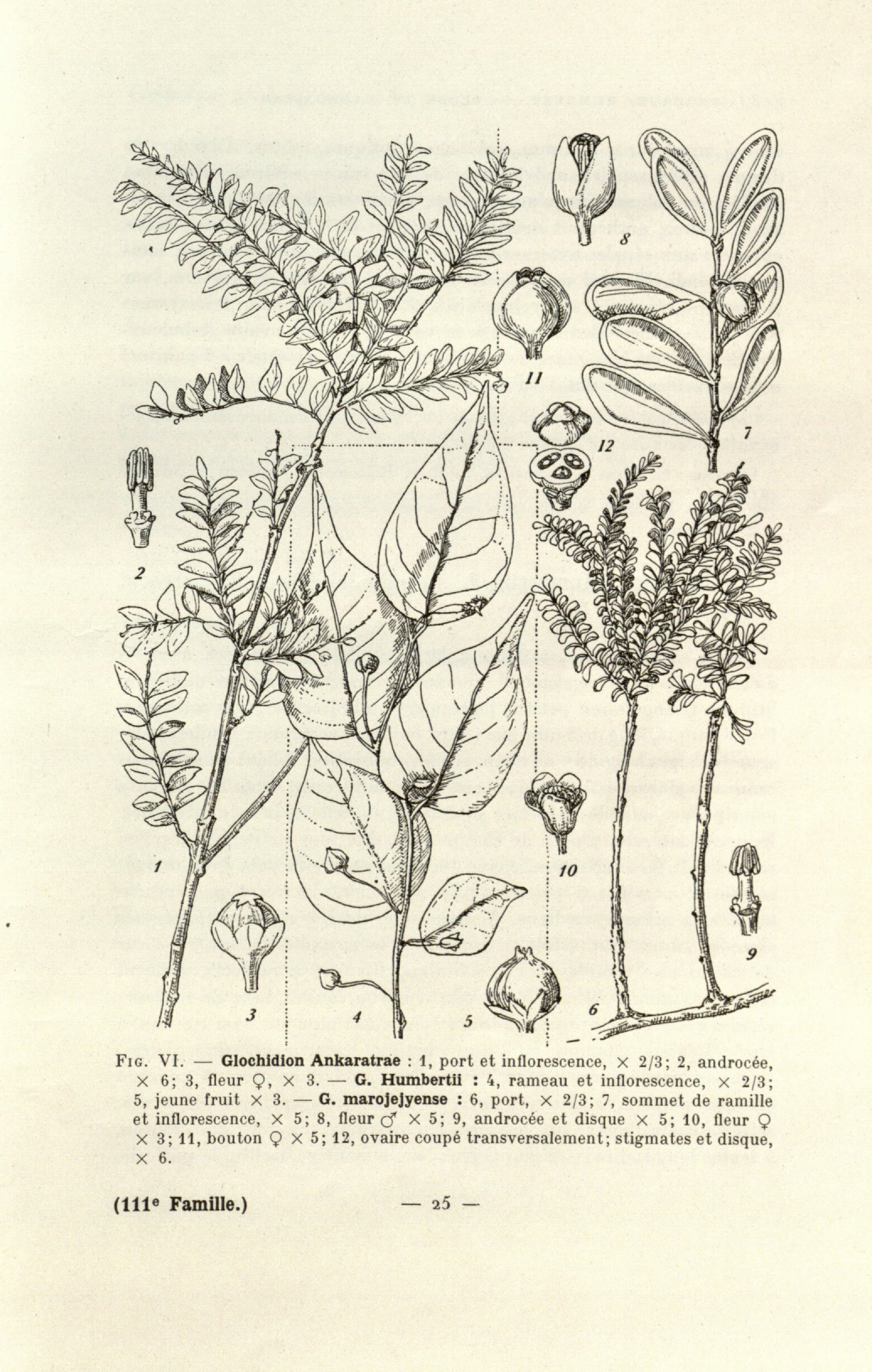 no full size  illustration available (3a)