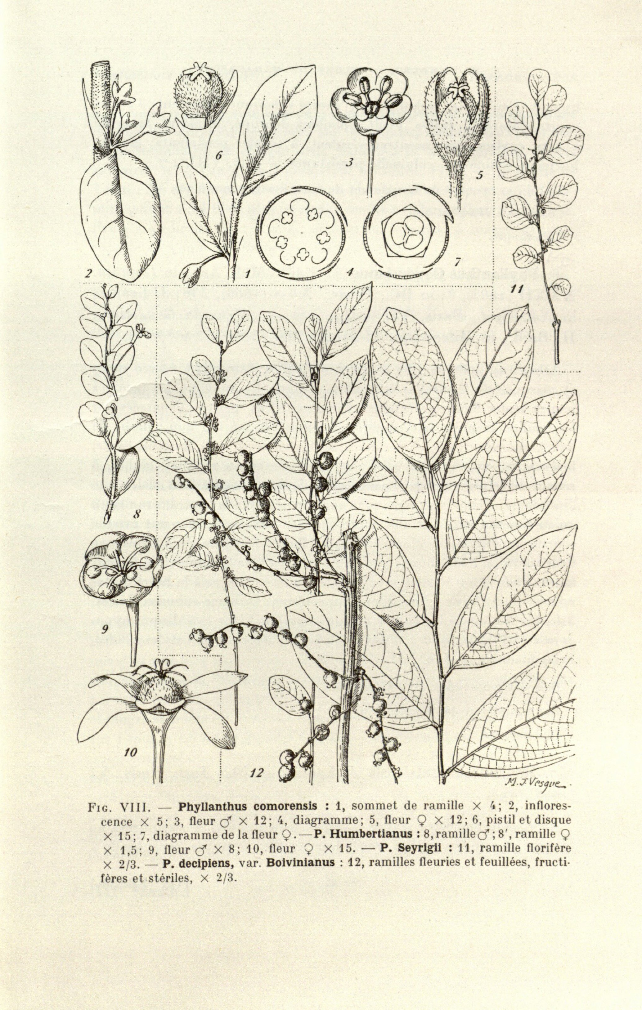 no full size  illustration available (3a)