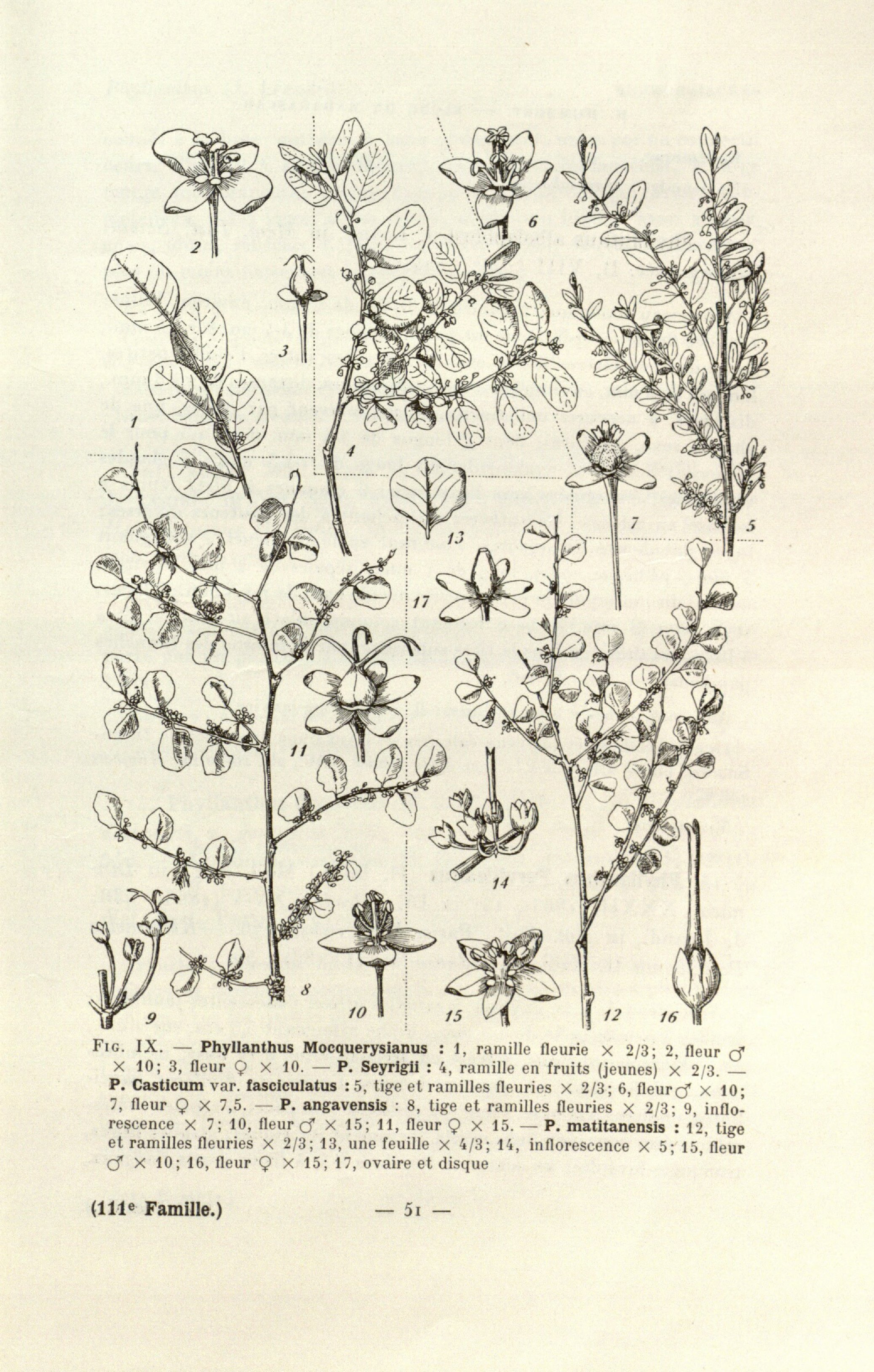 no full size  illustration available (3a)