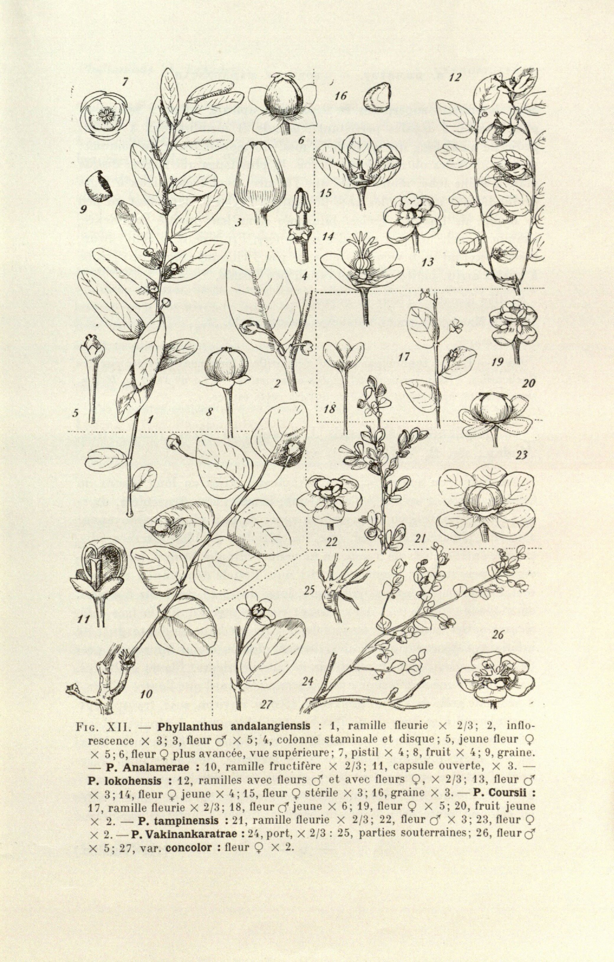 no full size  illustration available (3a)