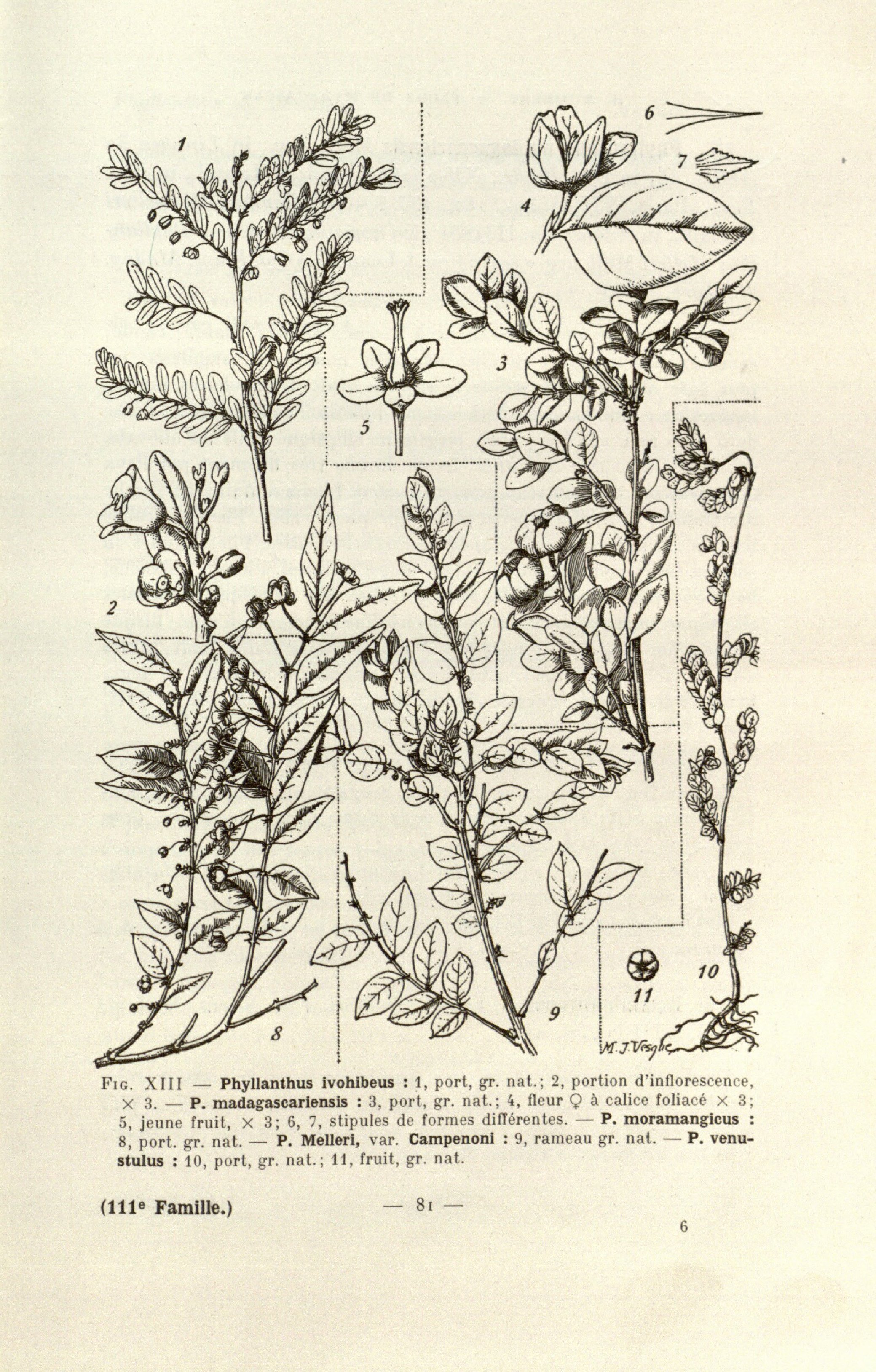 no full size  illustration available (3a)