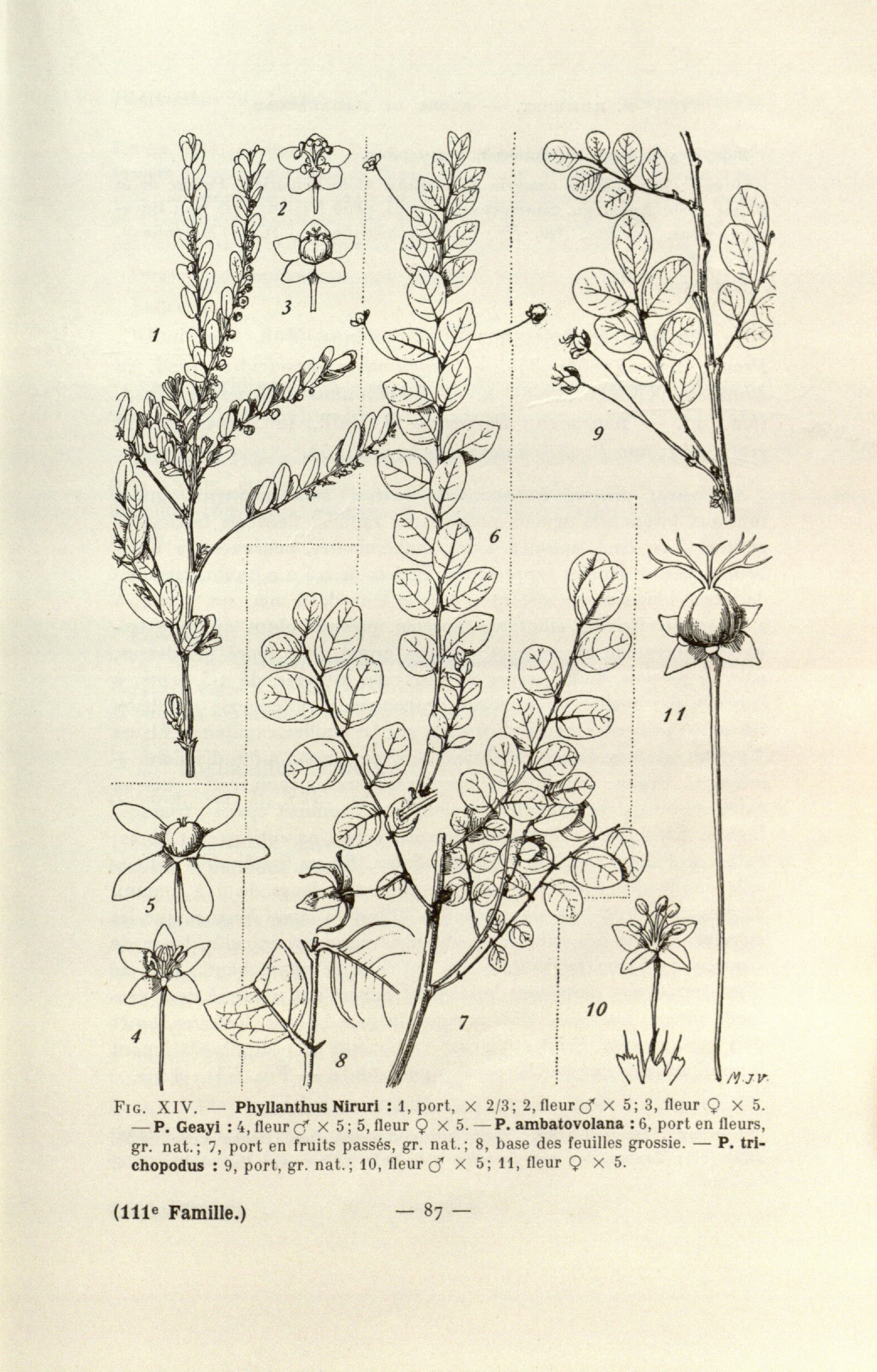 no full size  illustration available (3a)