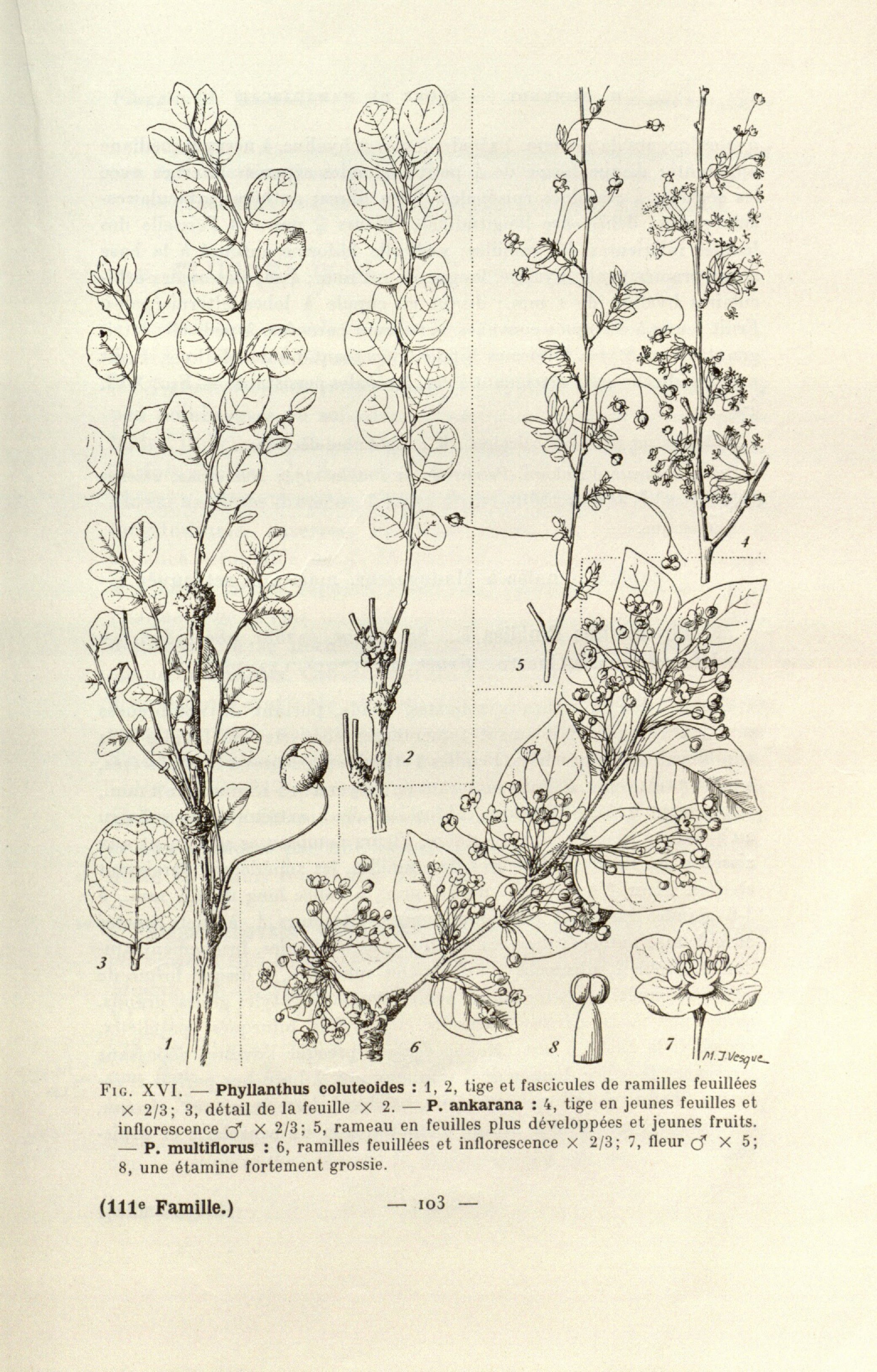 no full size  illustration available (3a)