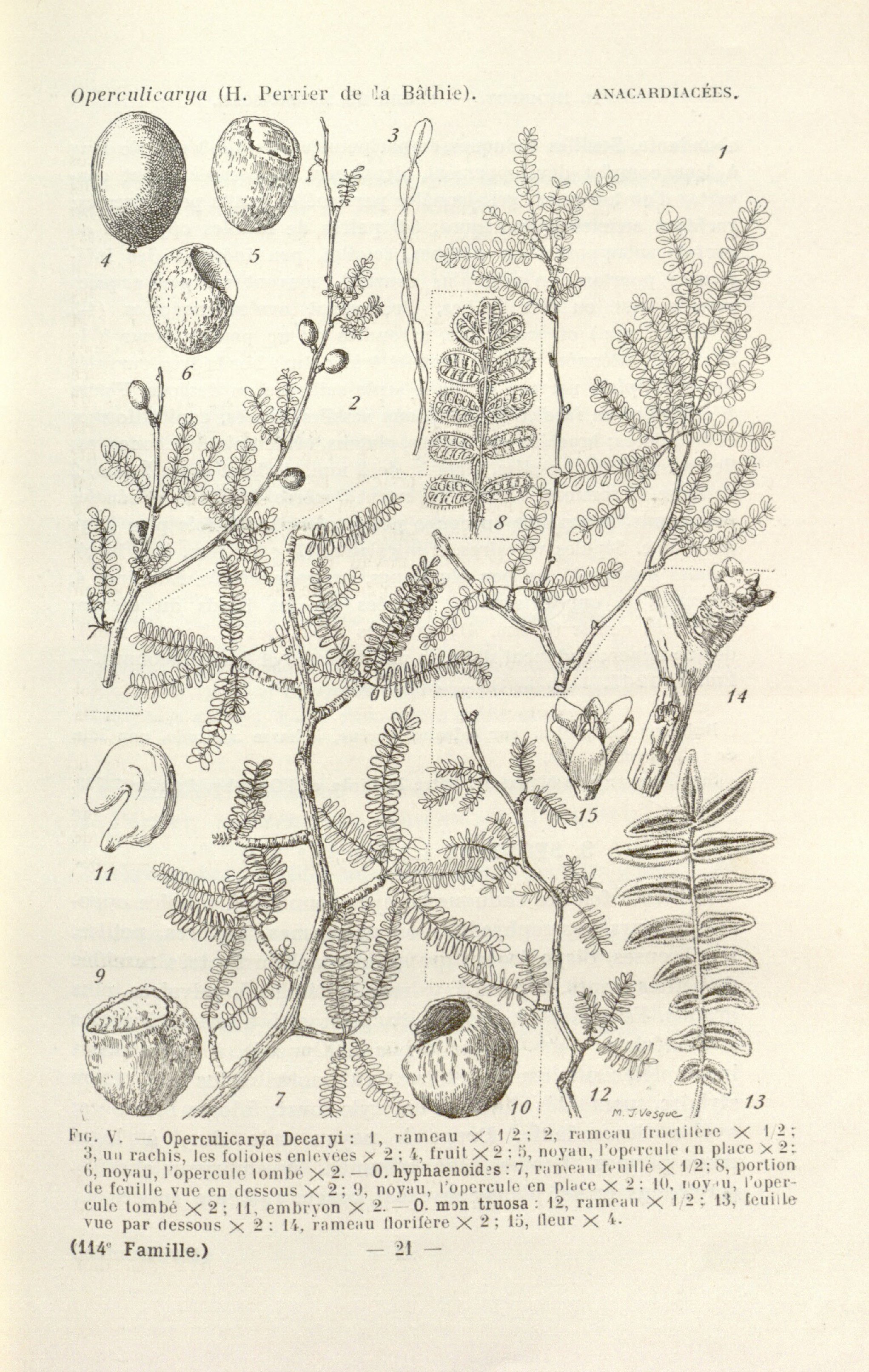 no full size  illustration available (3a)