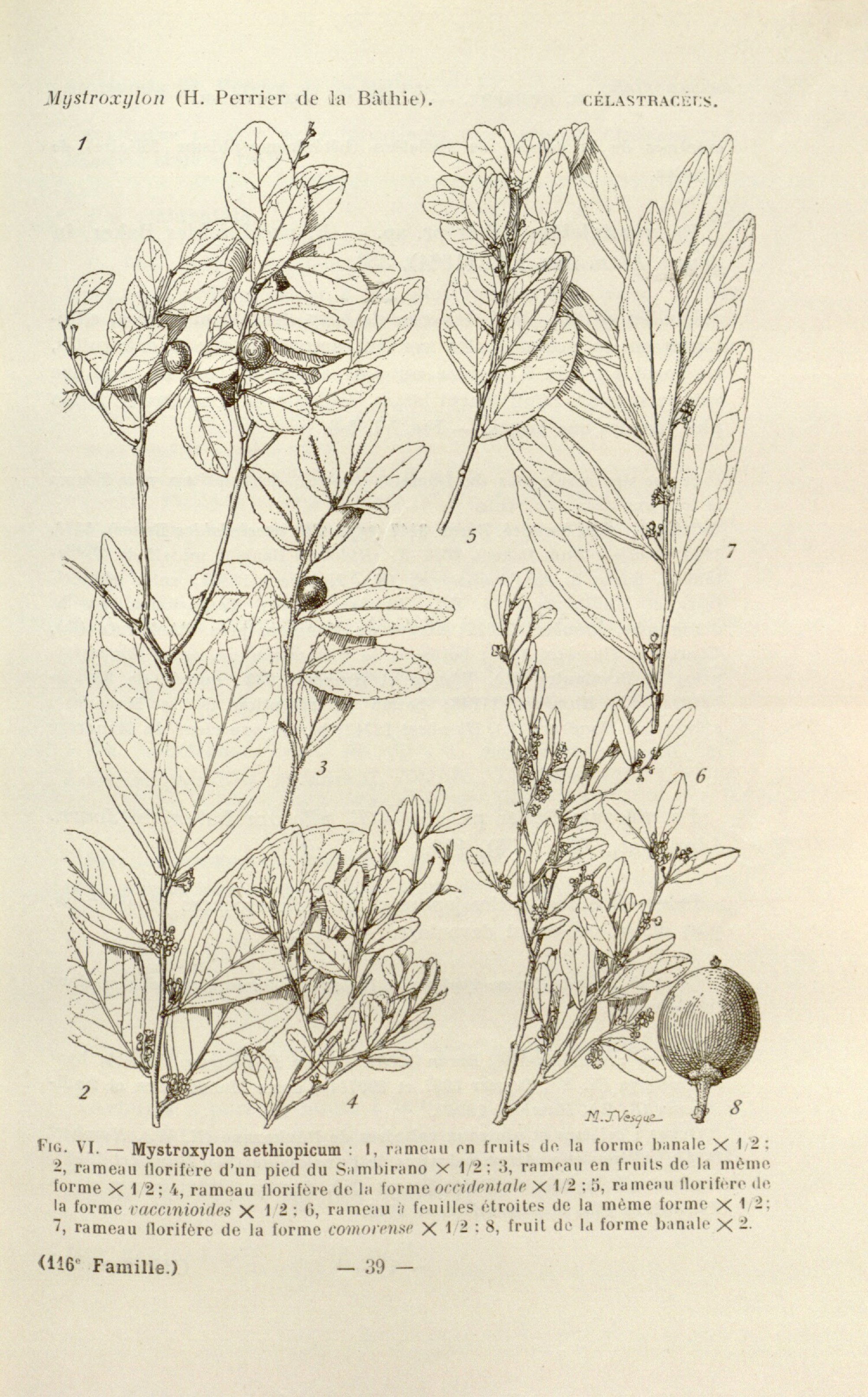 no full size  illustration available (3a)