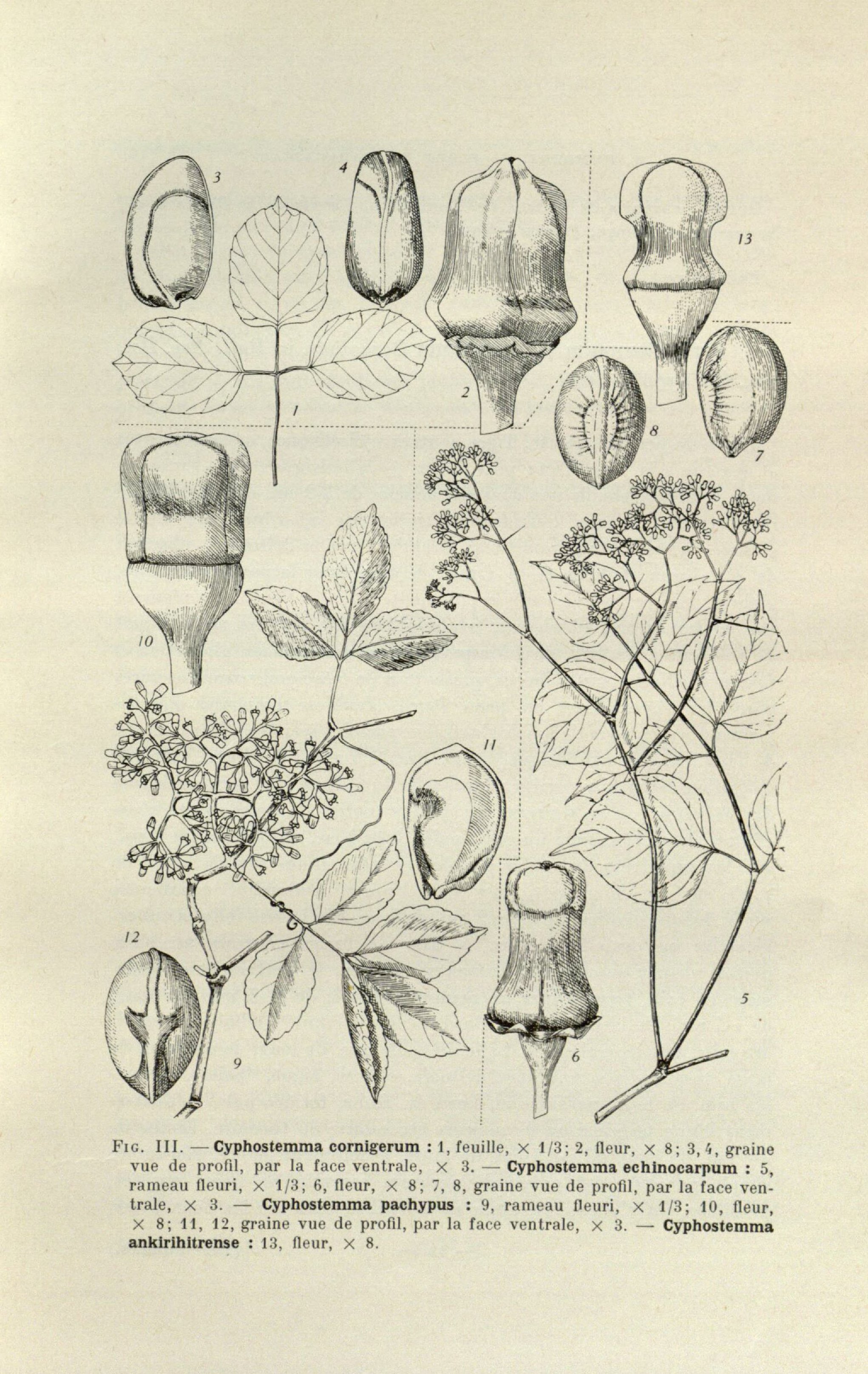 no full size  illustration available (3a)