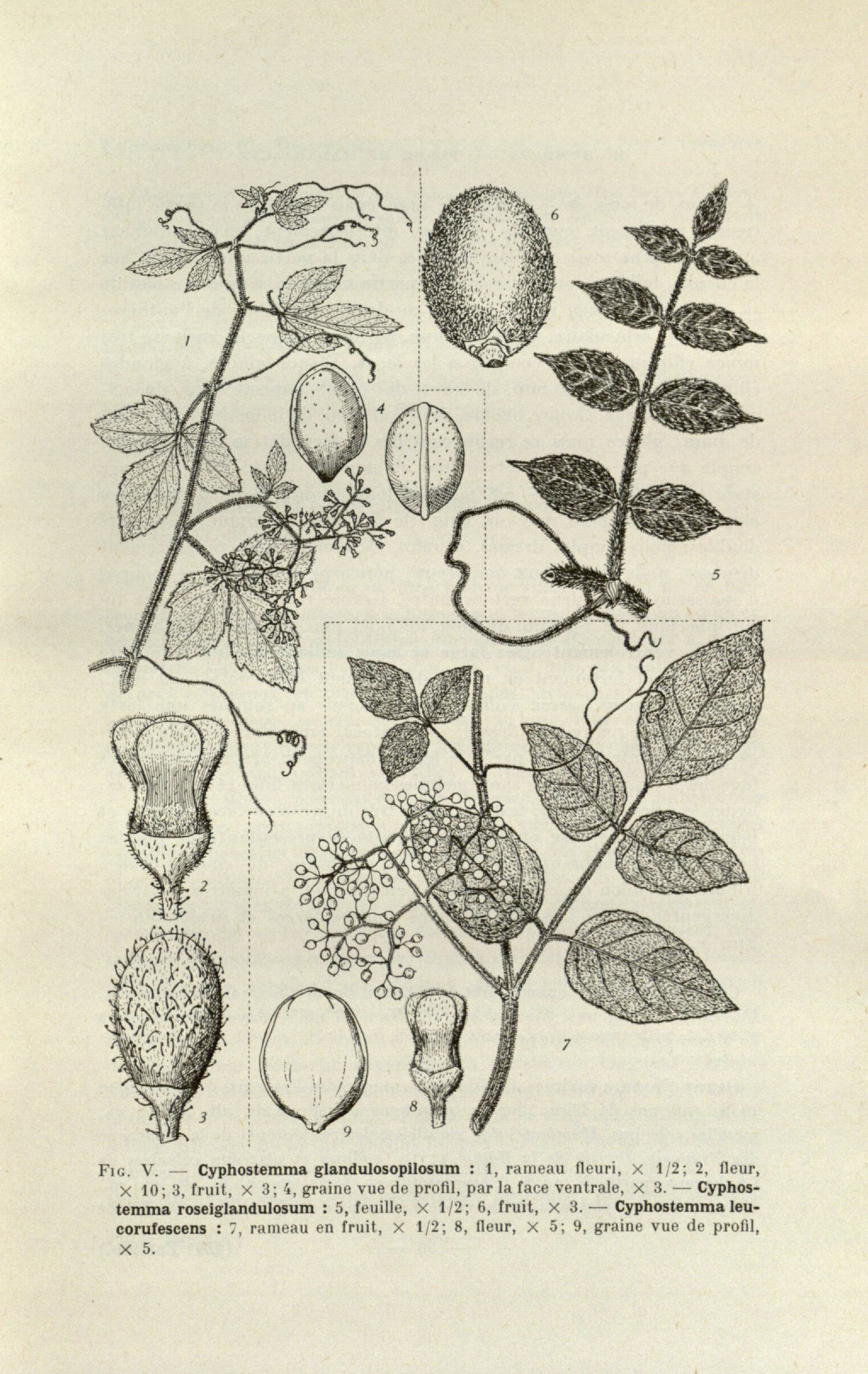 no full size  illustration available (3a)