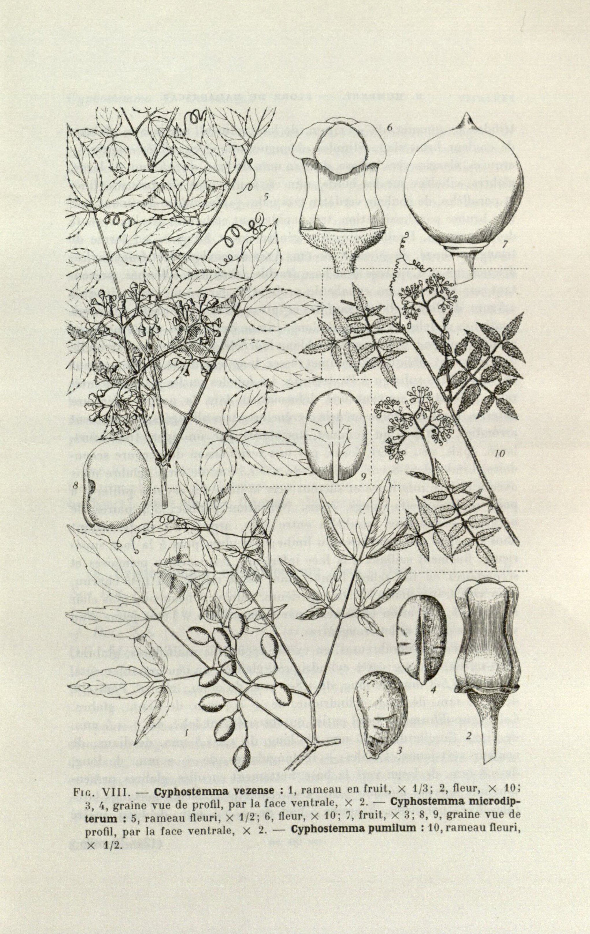 no full size  illustration available (3a)