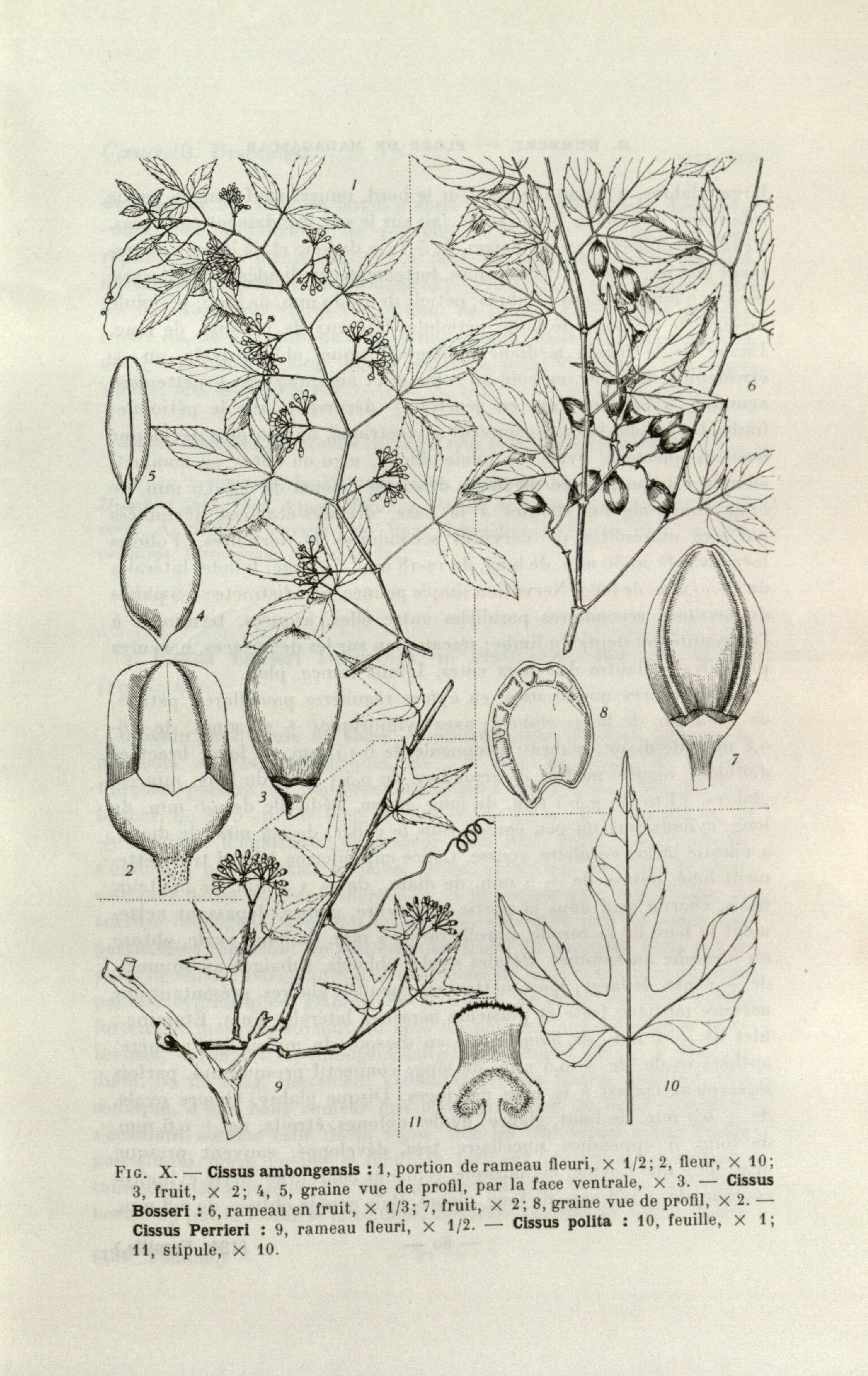 no full size  illustration available (3a)