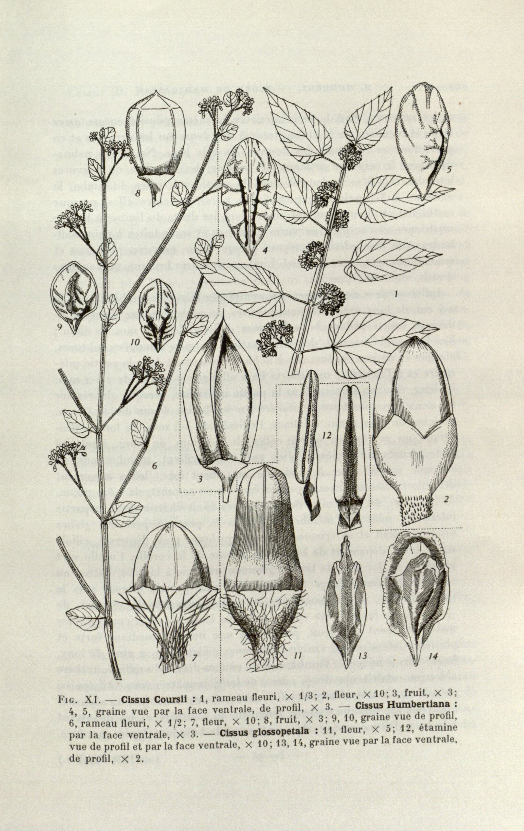 no full size  illustration available (3a)