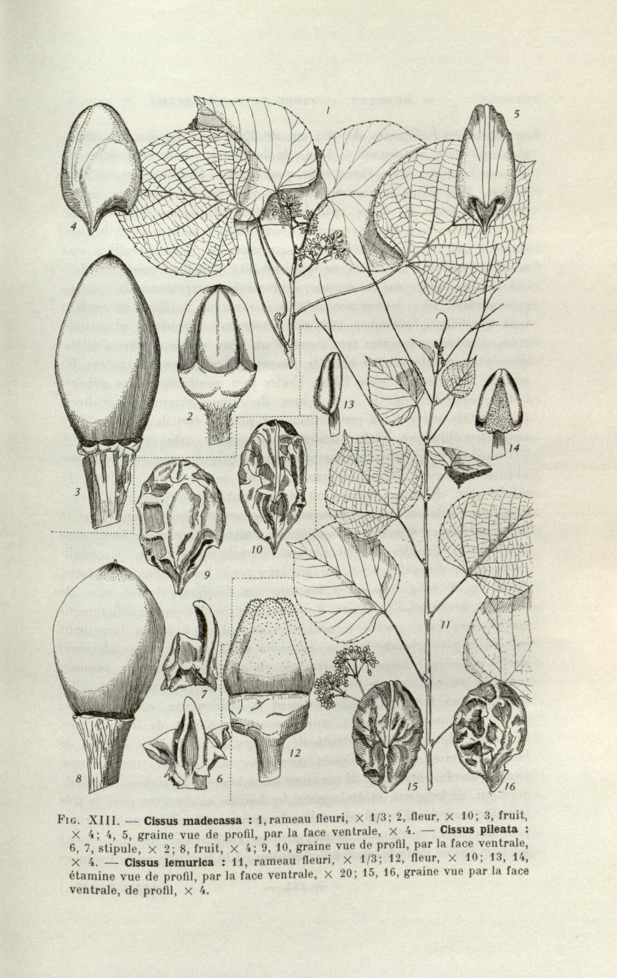 no full size  illustration available (3a)