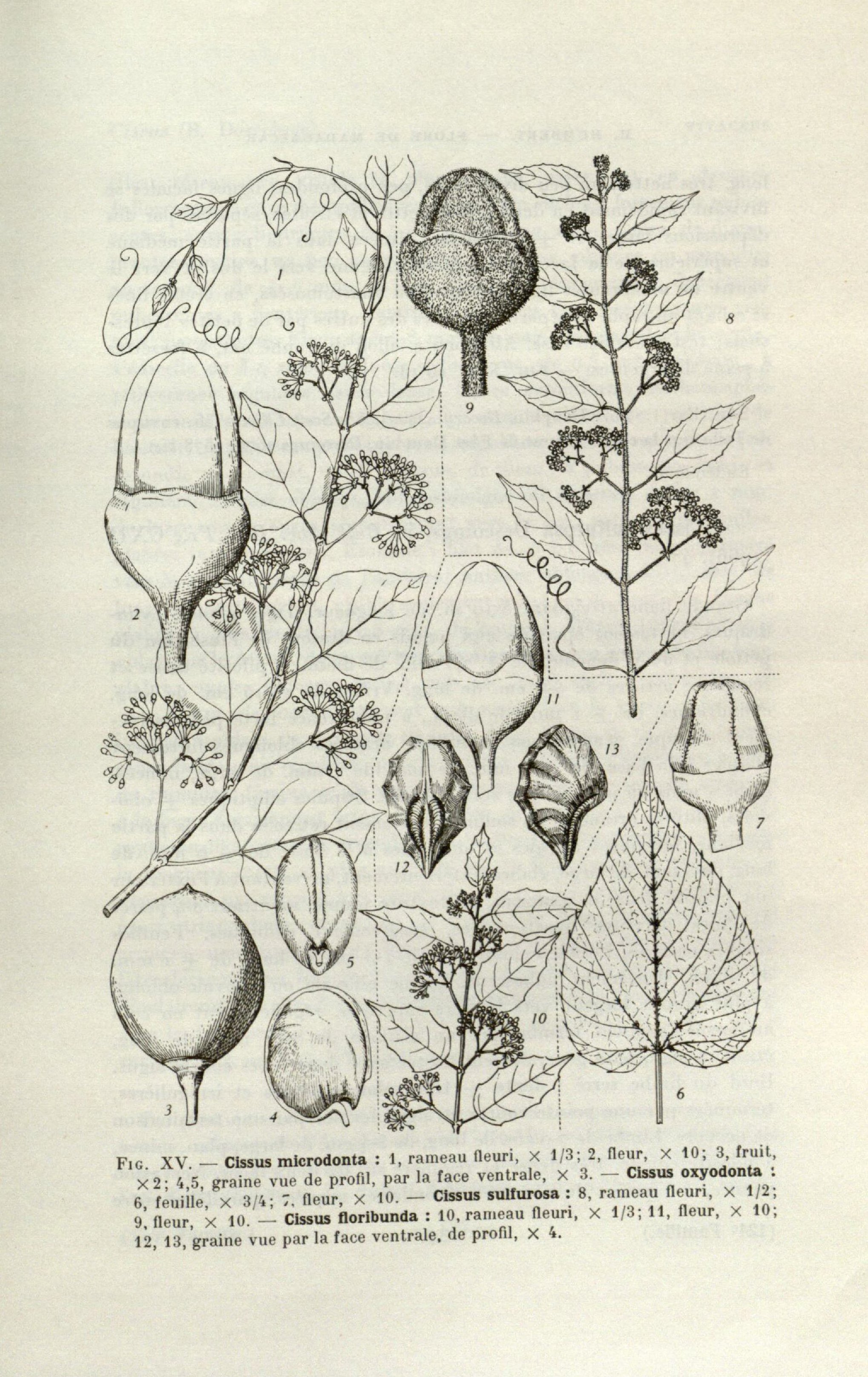 no full size  illustration available (3a)