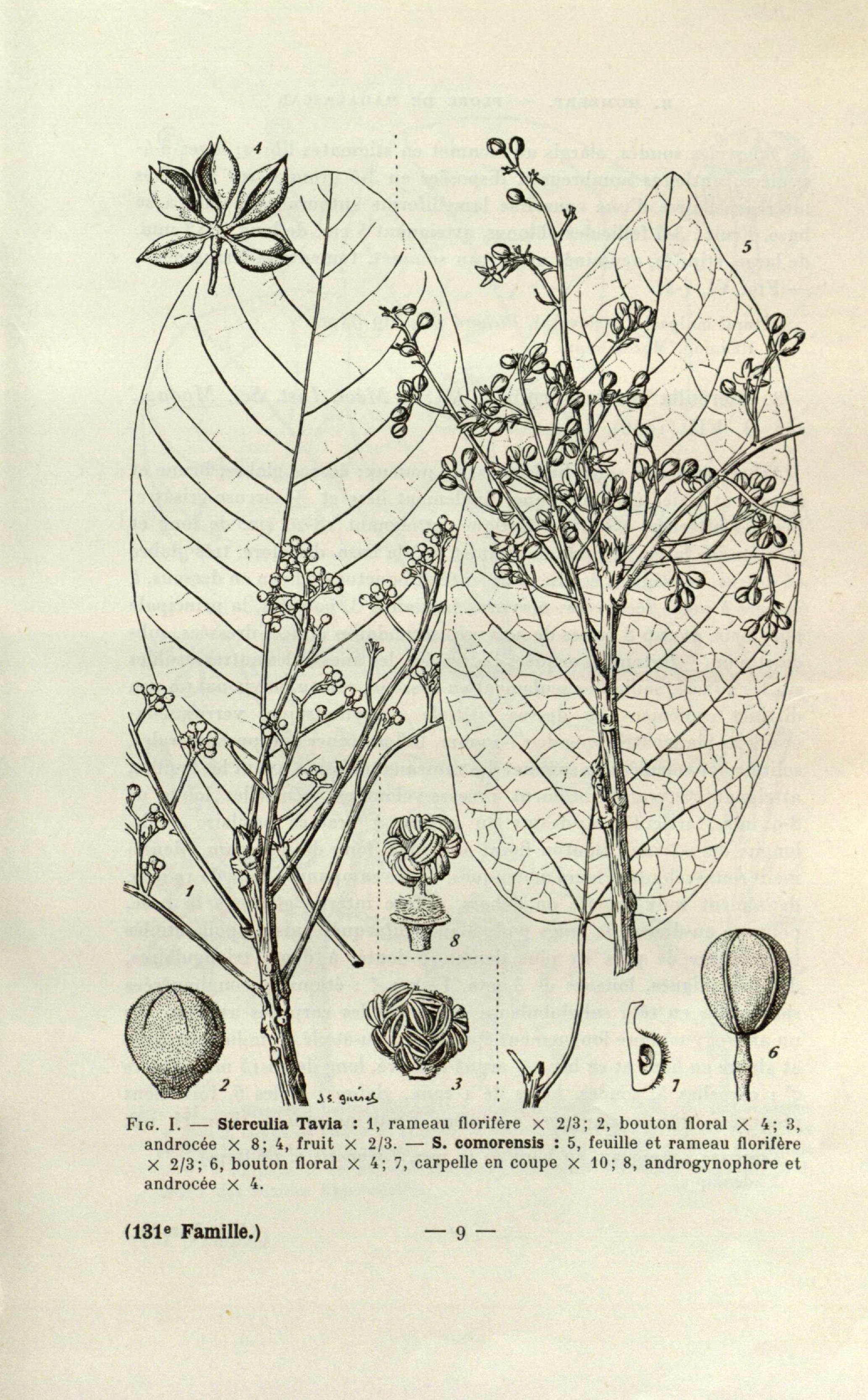 no full size  illustration available (3a)