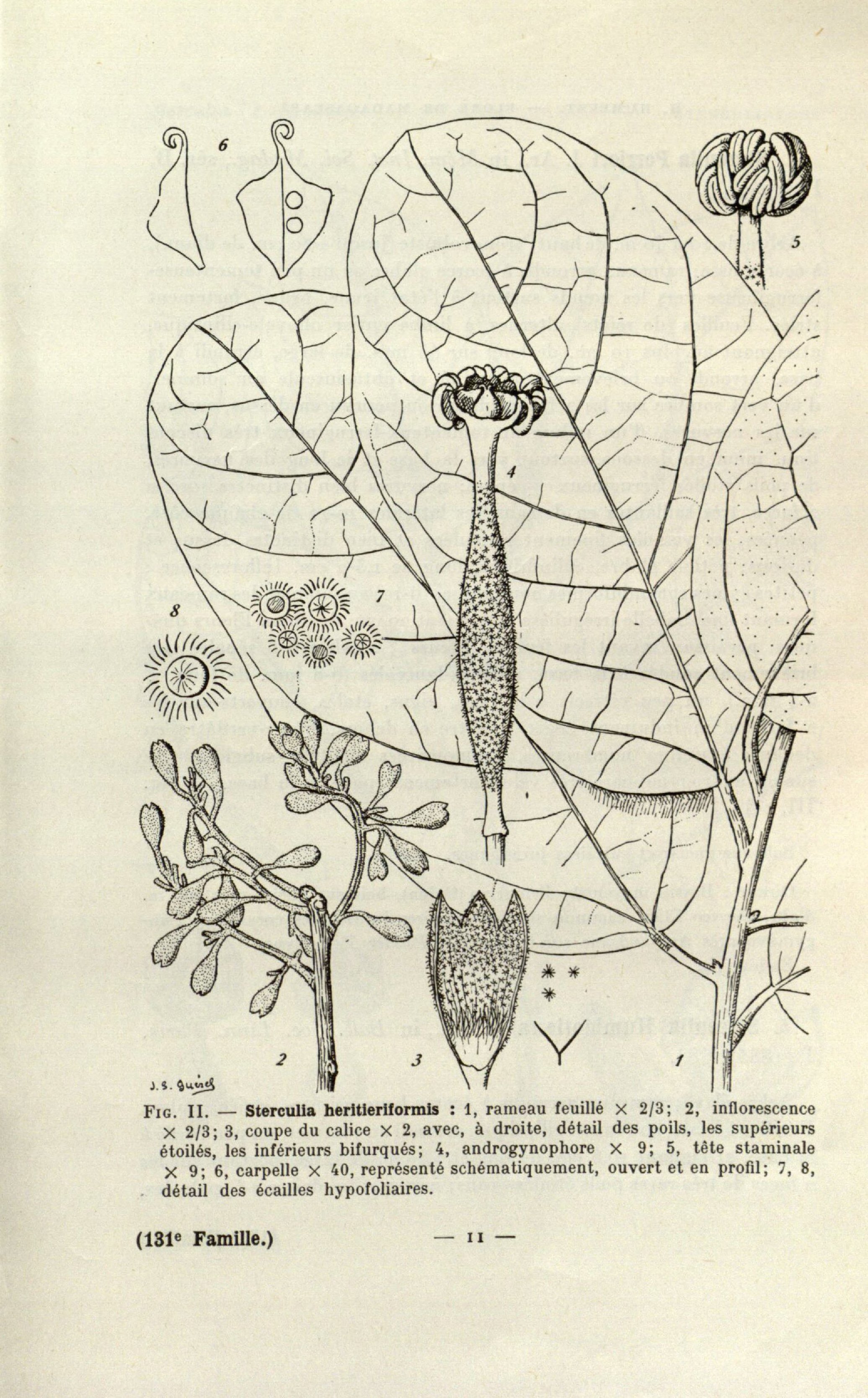 no full size  illustration available (3a)