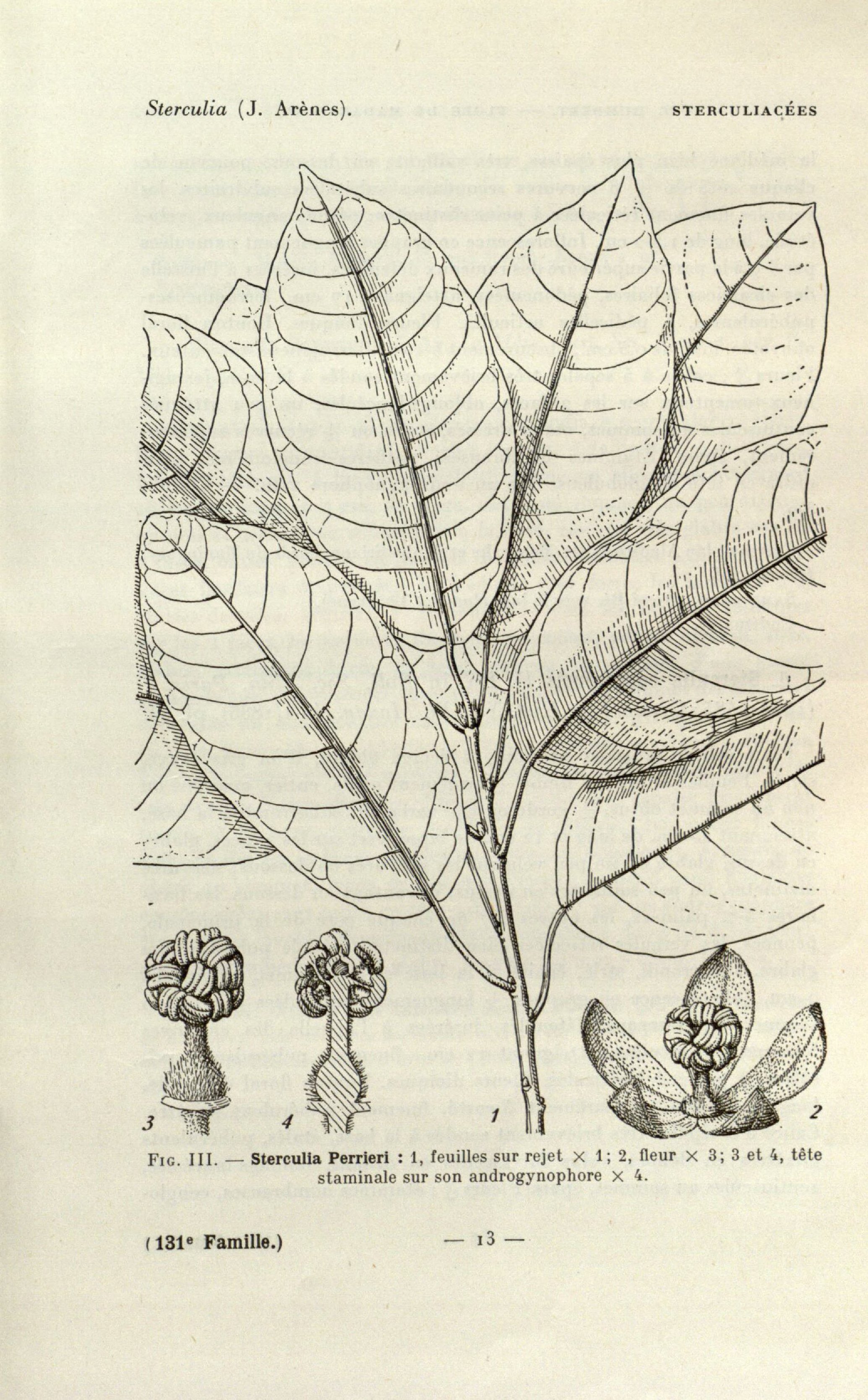 no full size  illustration available (3a)