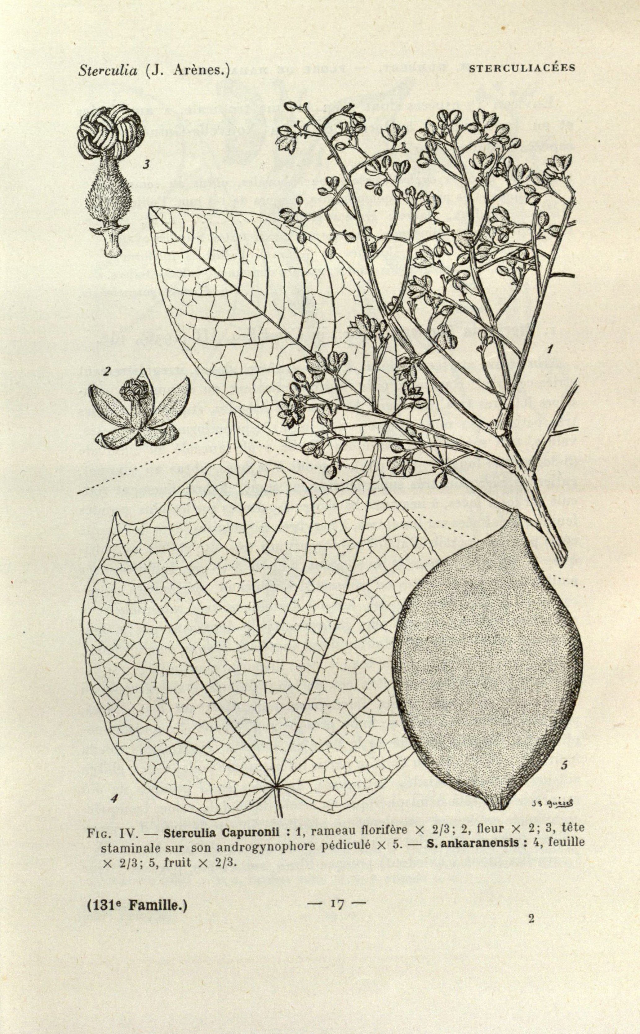 no full size  illustration available (3a)