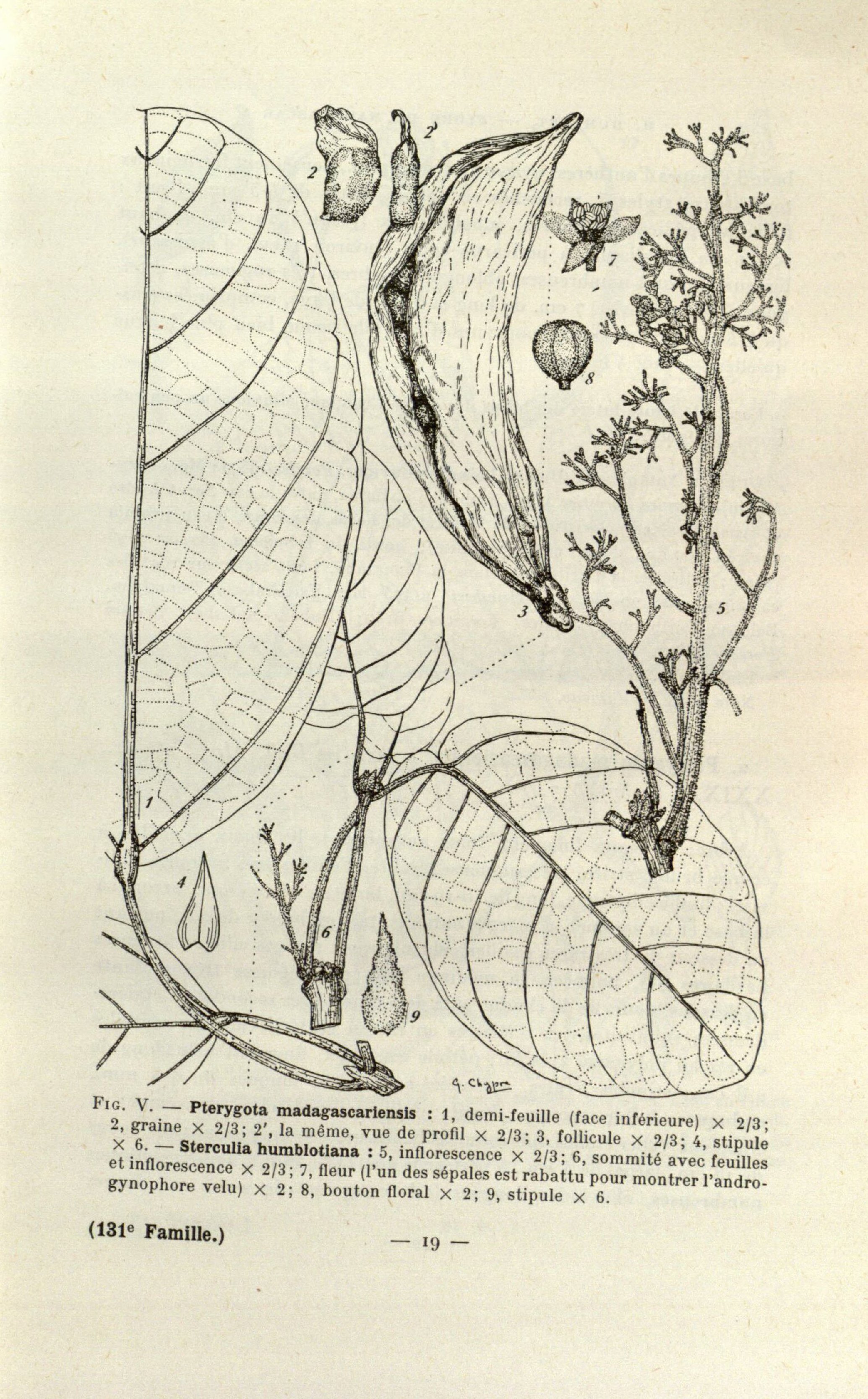 no full size  illustration available (3a)