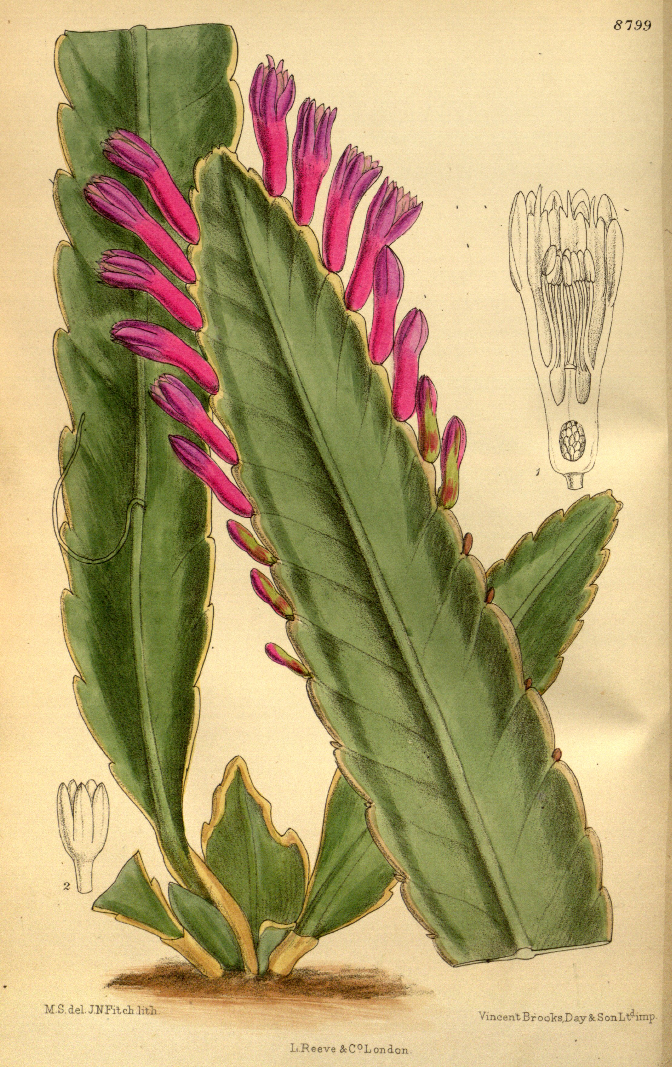 no full size  illustration available (3a)