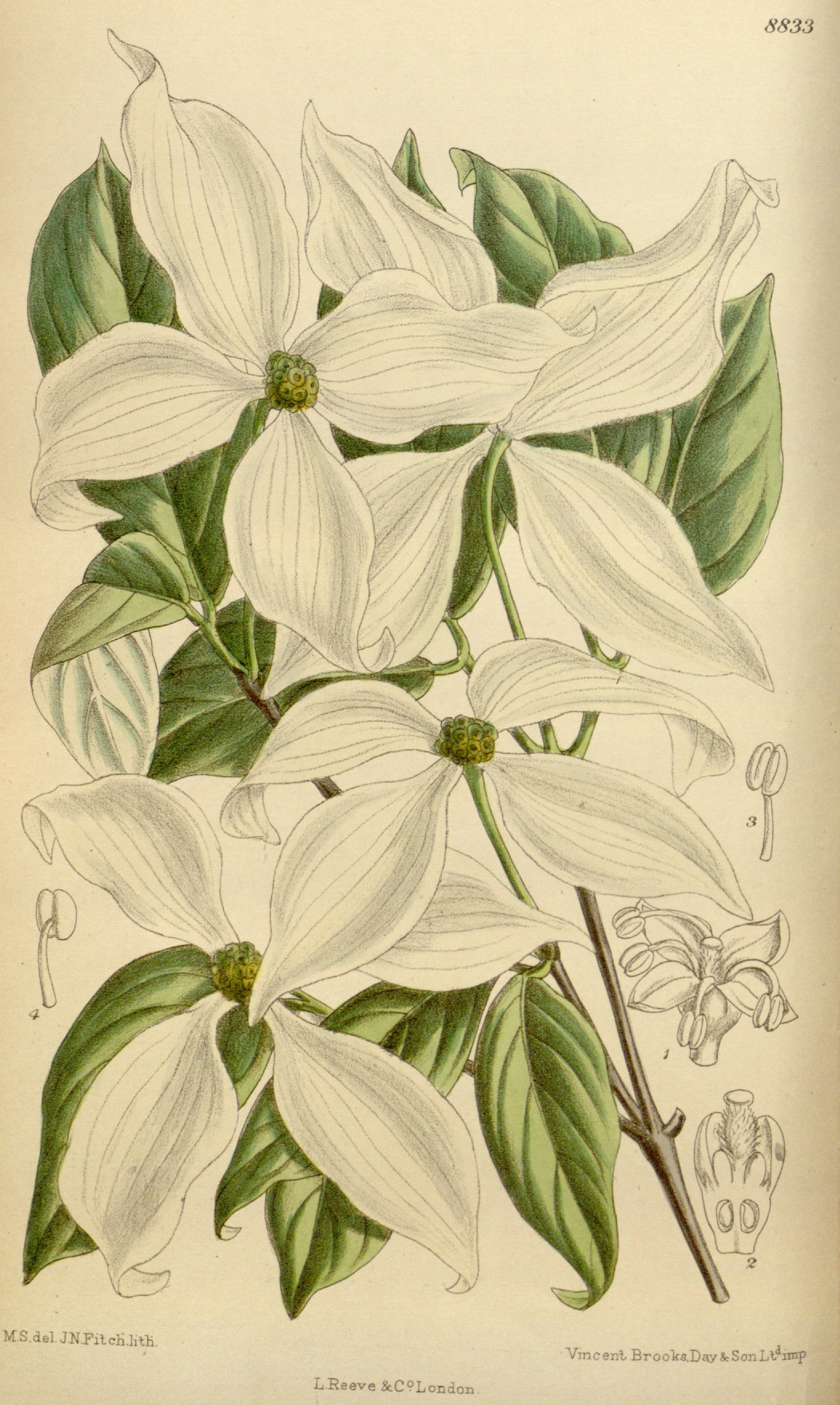 no full size  illustration available (3a)