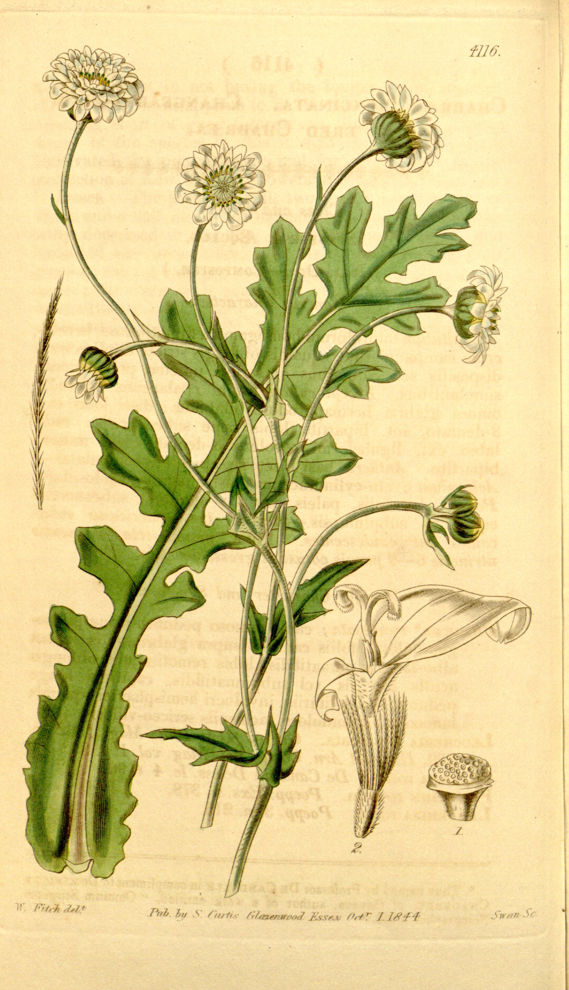 no full size  illustration available (3a)