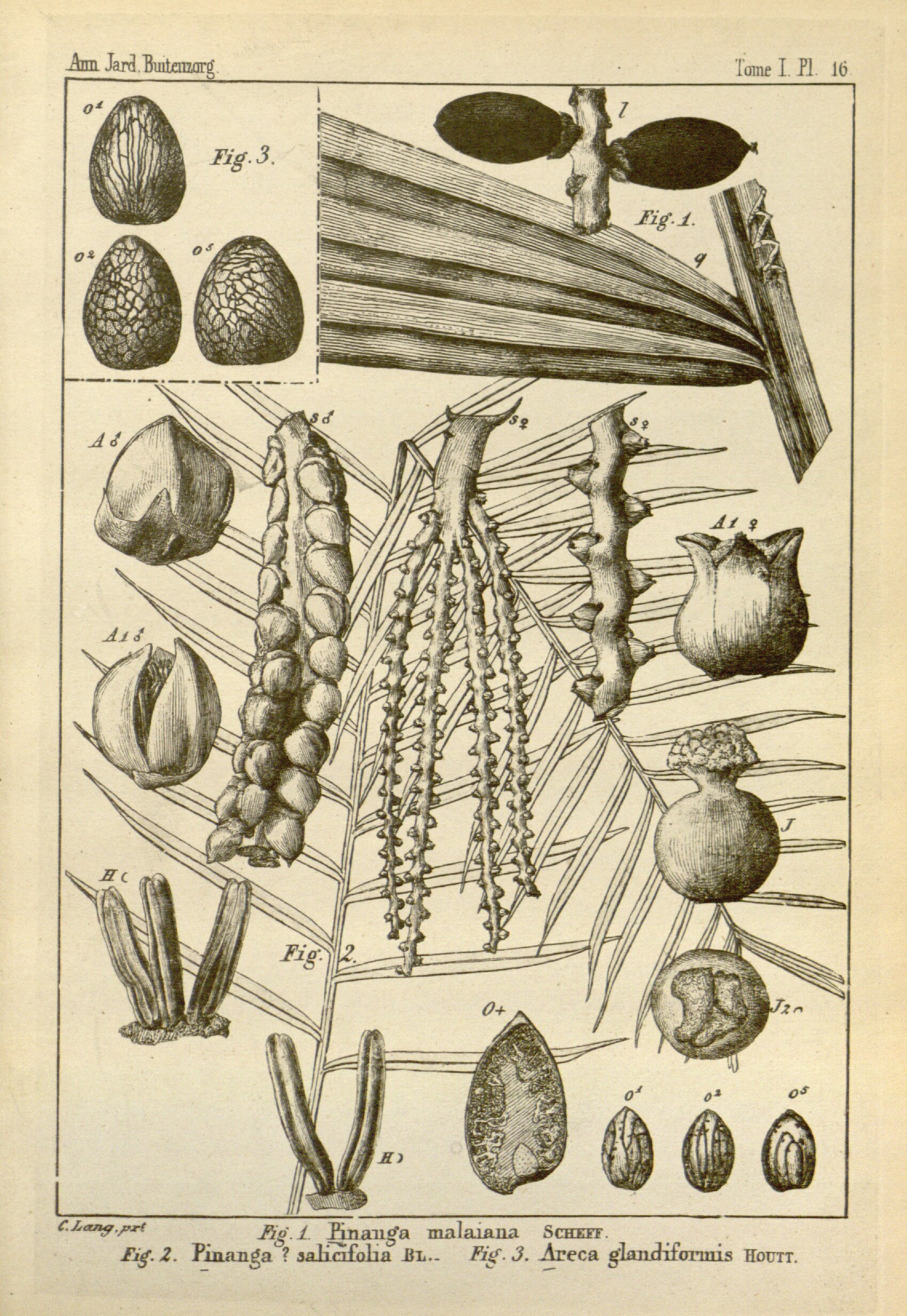 no full size  illustration available (3a)