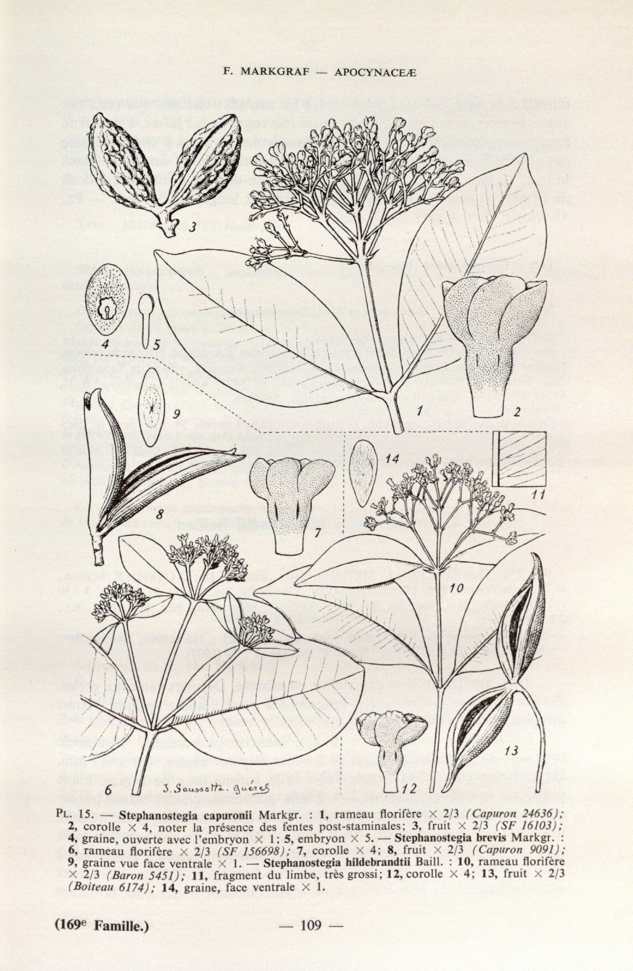 no full size  illustration available (3a)