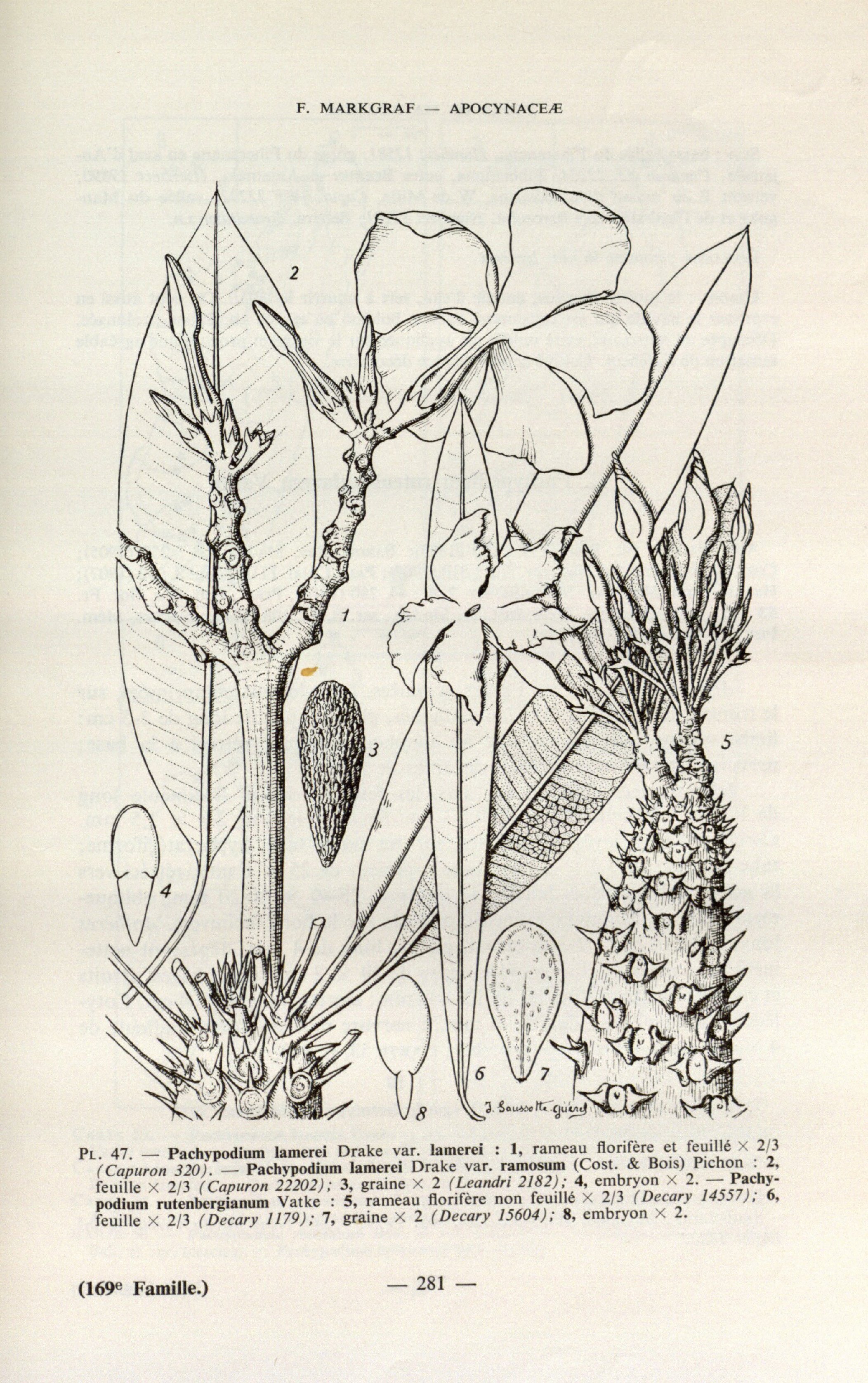 no full size  illustration available (3a)