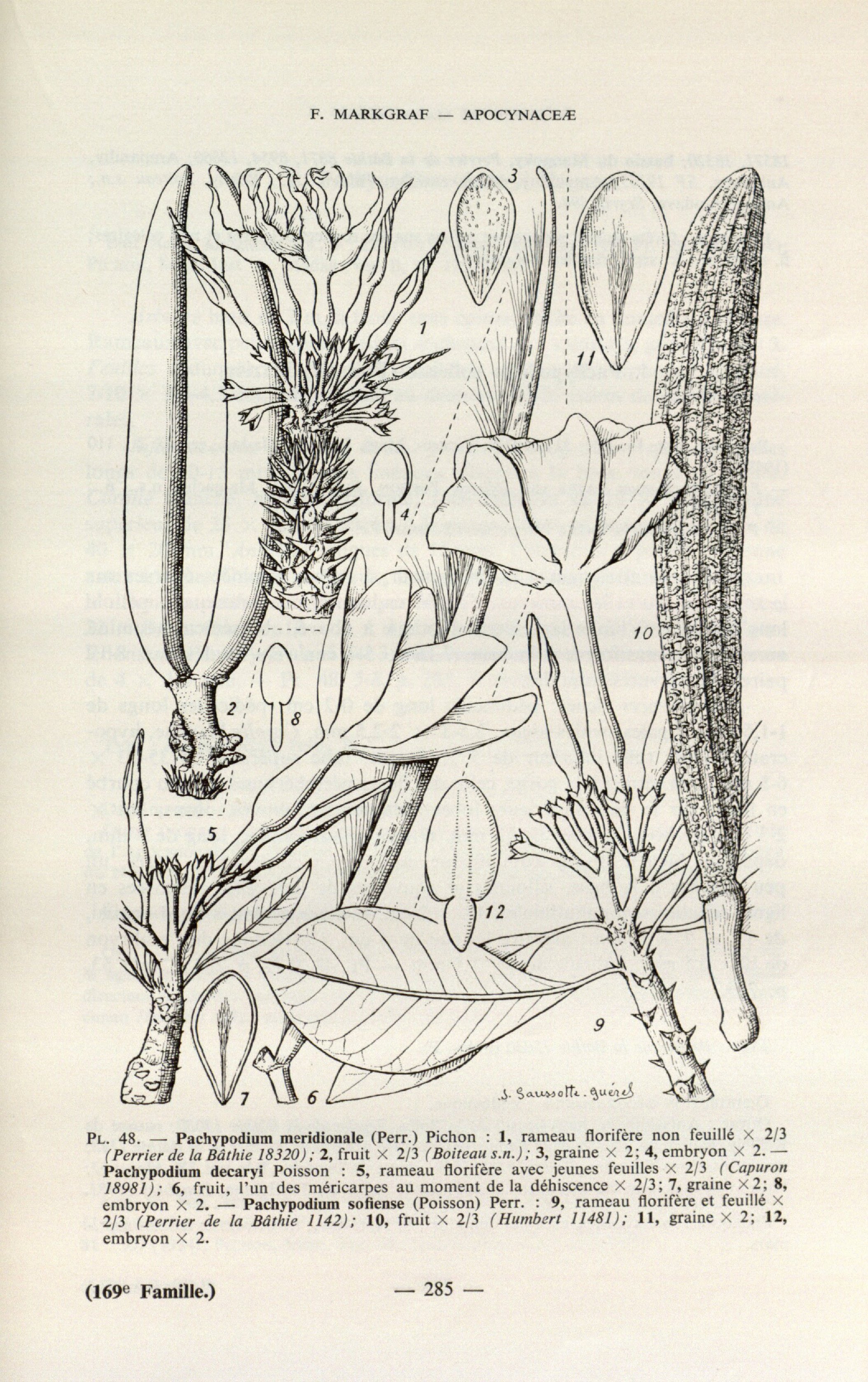 no full size  illustration available (3a)