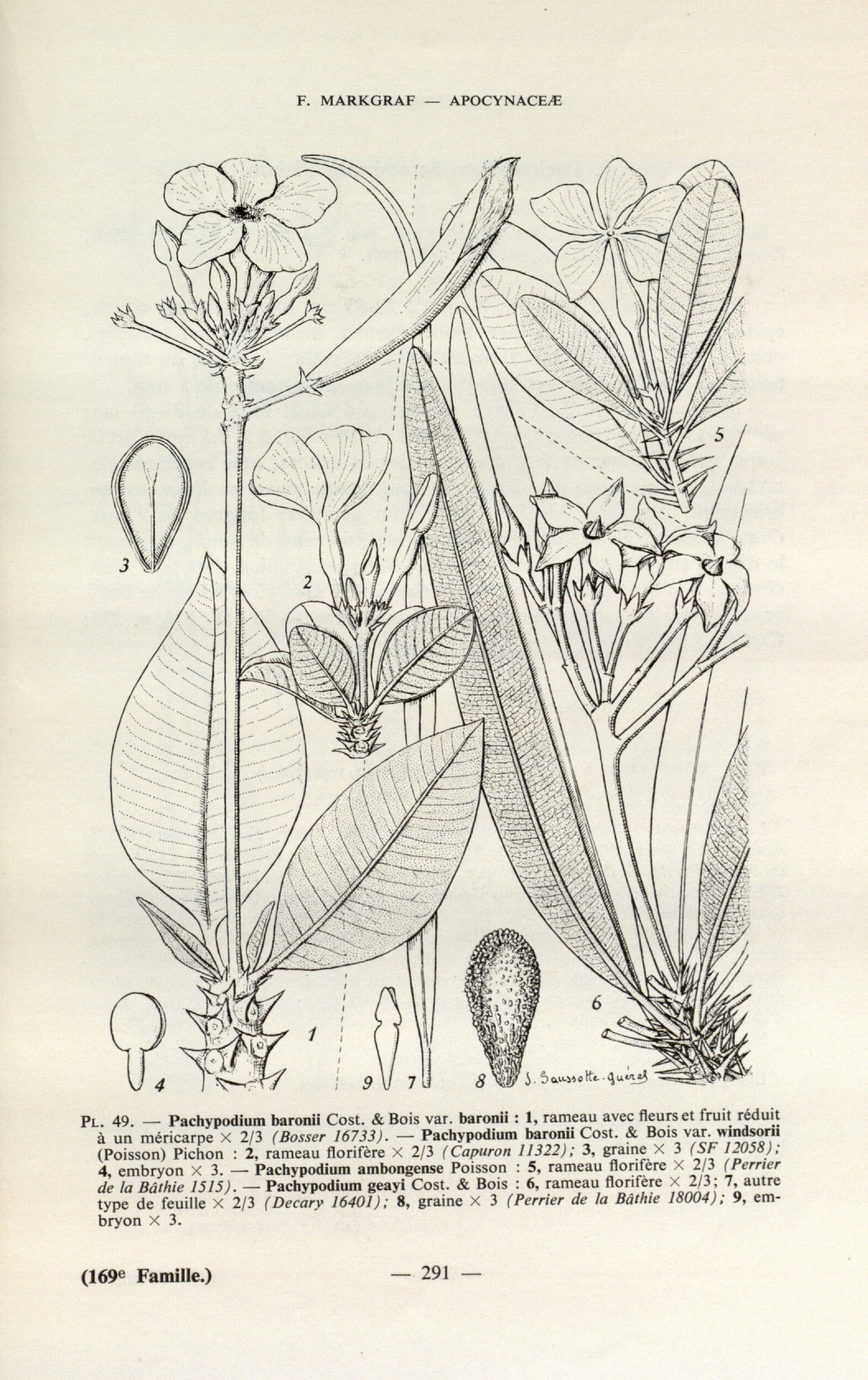 no full size  illustration available (3a)