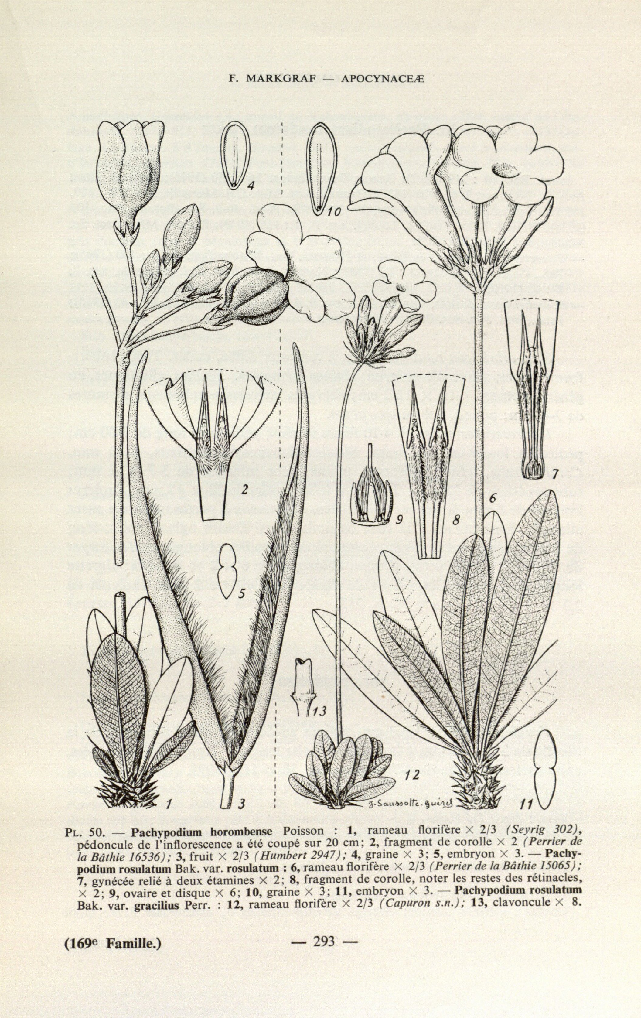 no full size  illustration available (3a)