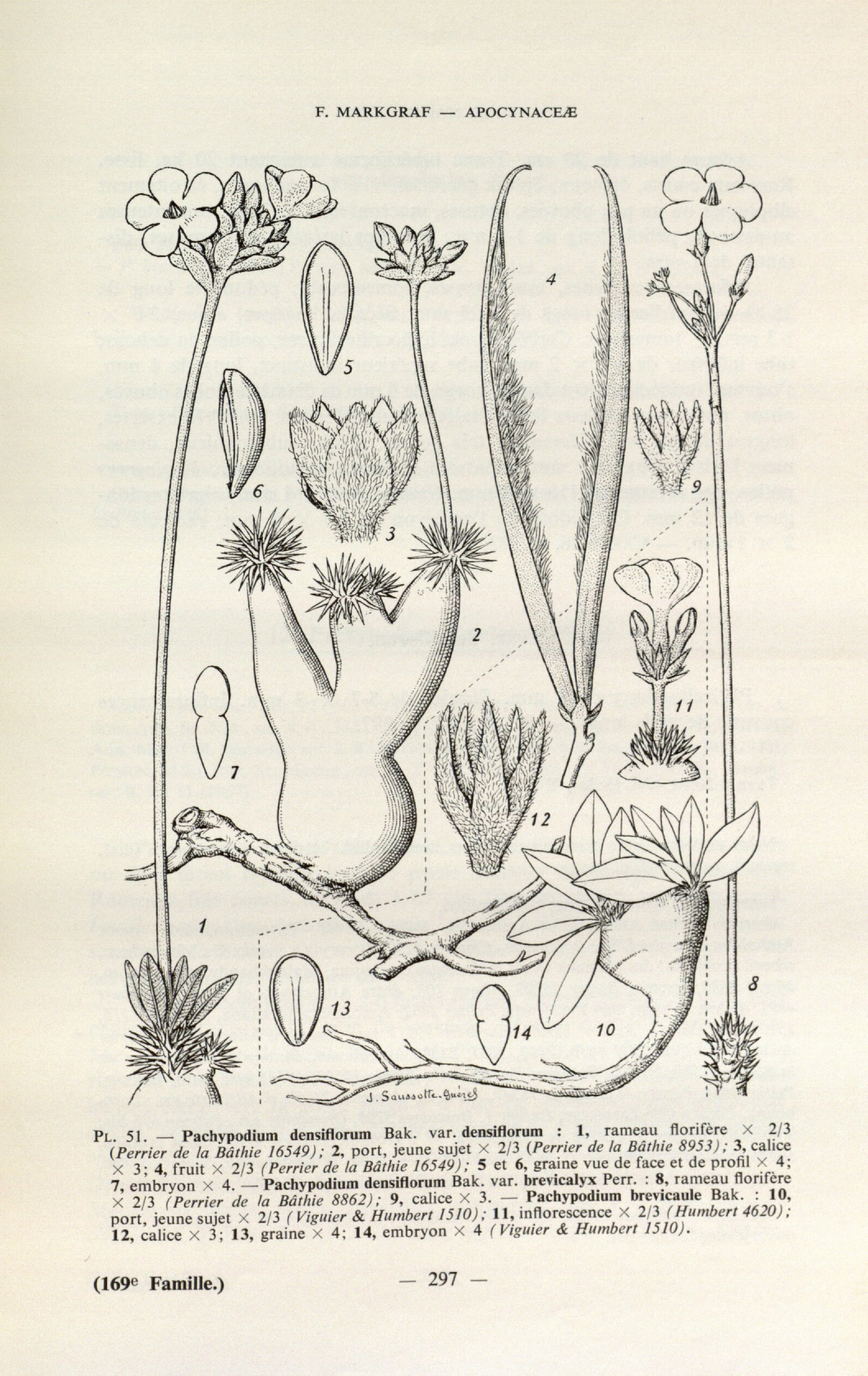 no full size  illustration available (3a)