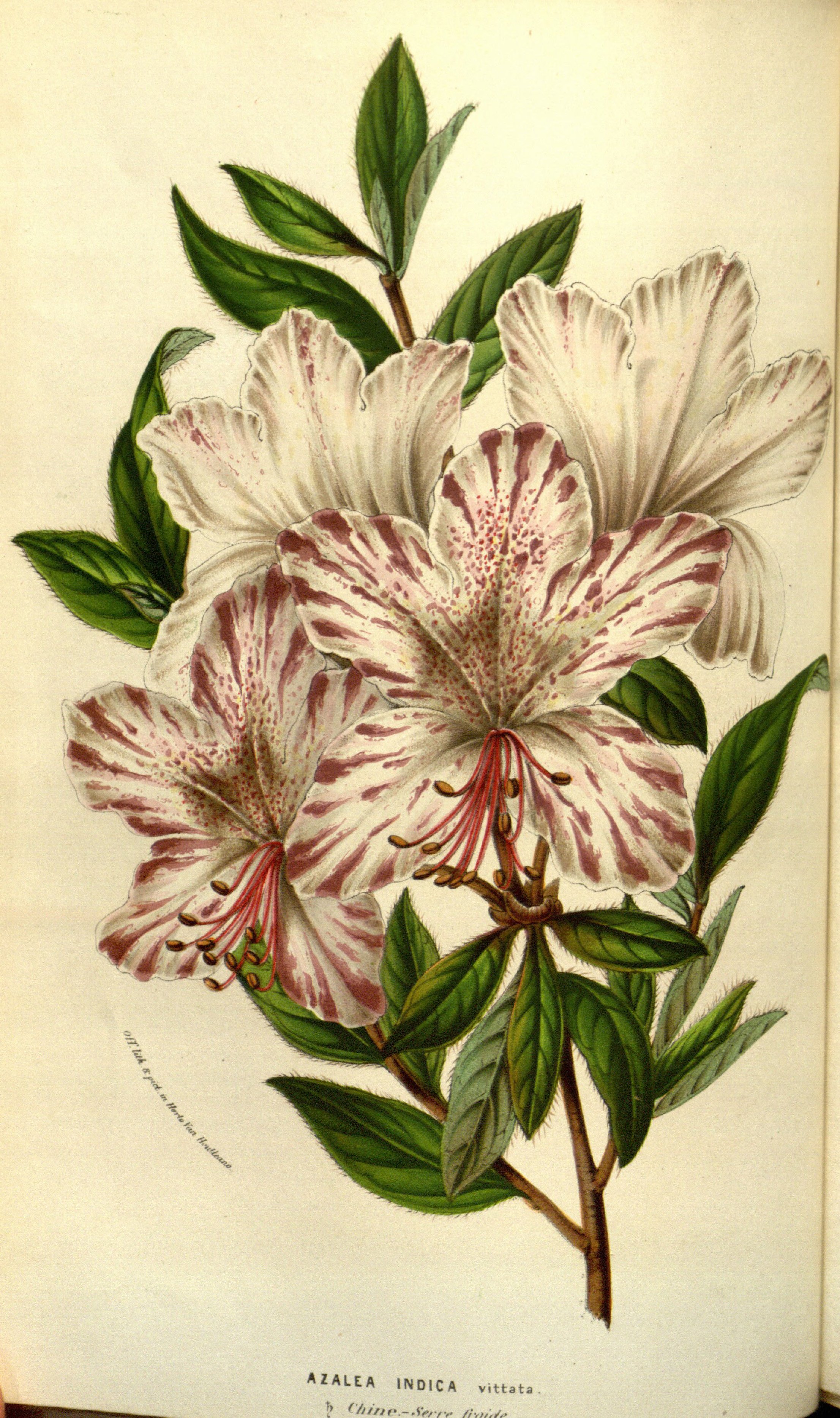 no full size  illustration available (3a)